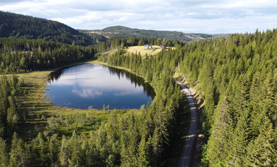 Forest trails near Oslo, Norway