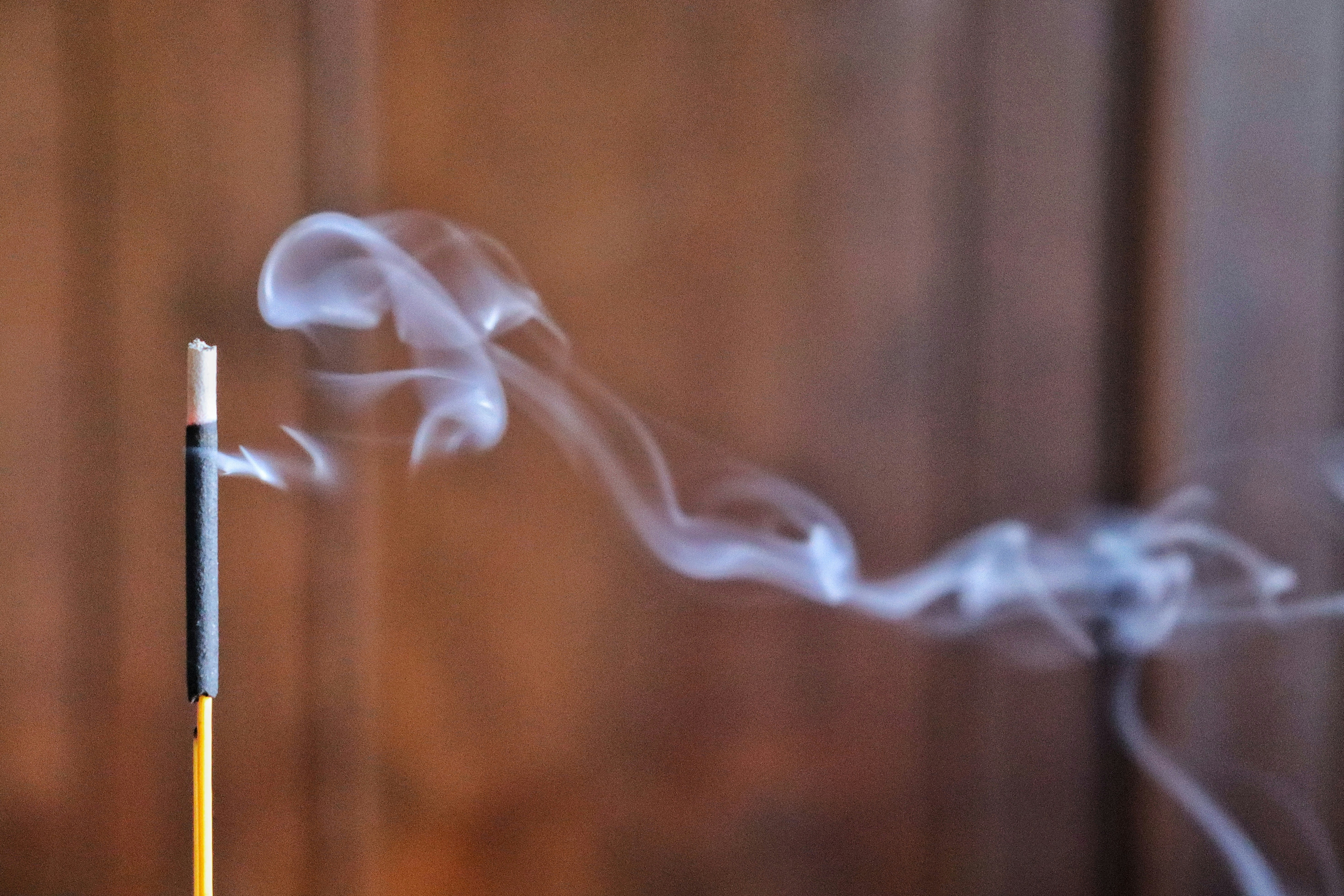 Photo by caio_delarolle