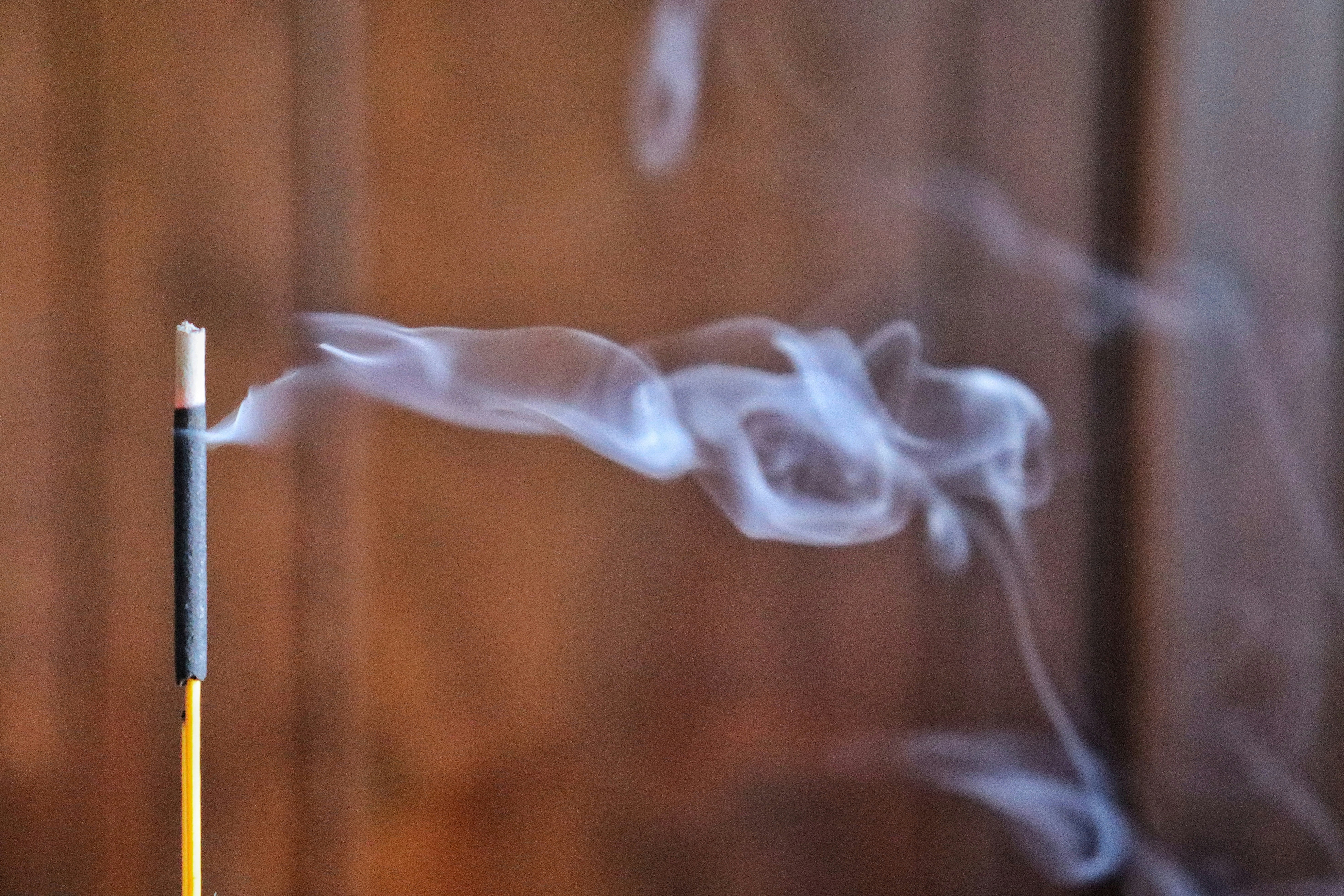 Photo by caio_delarolle