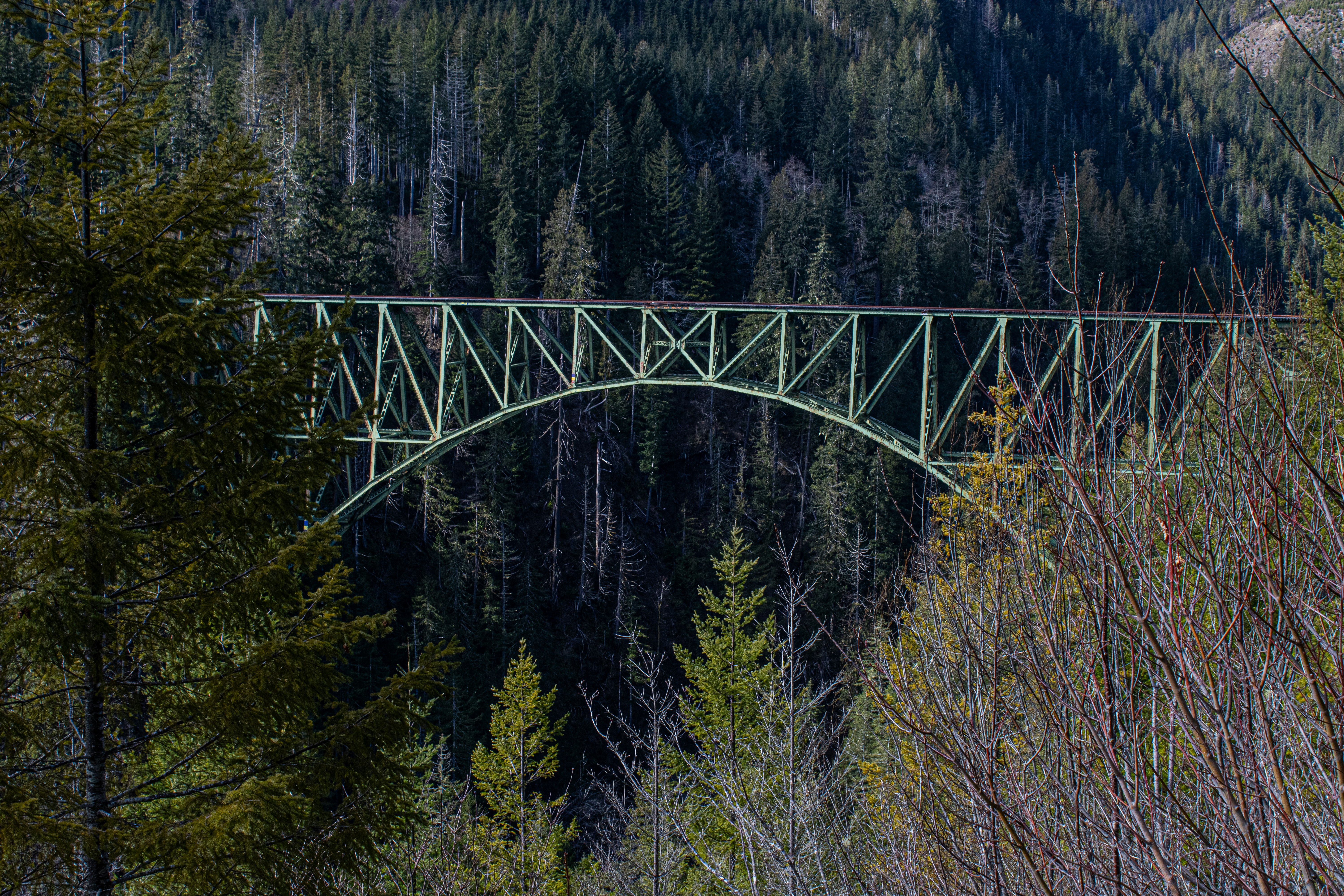 Photo by prphotography262