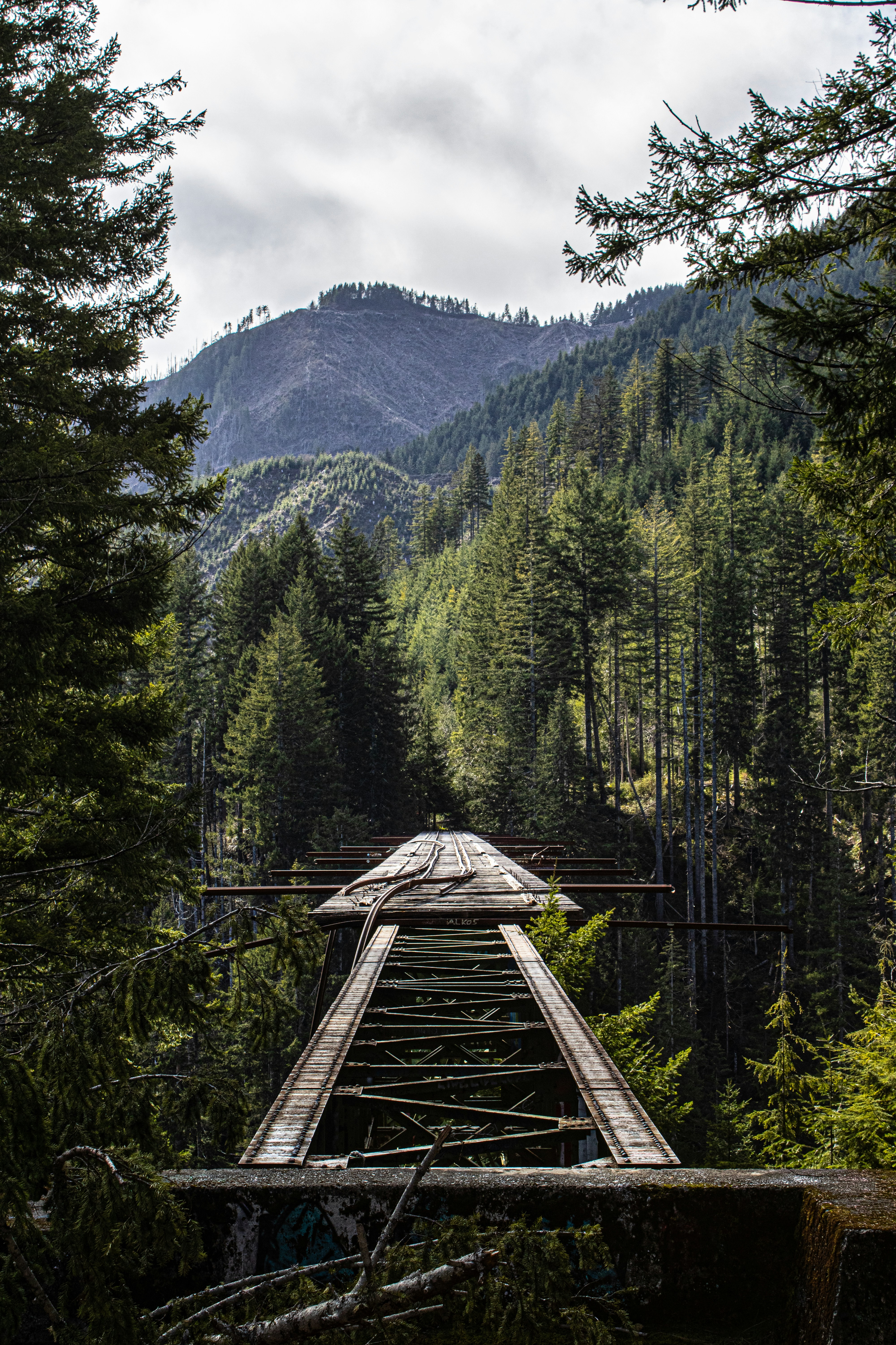 Photo by prphotography262