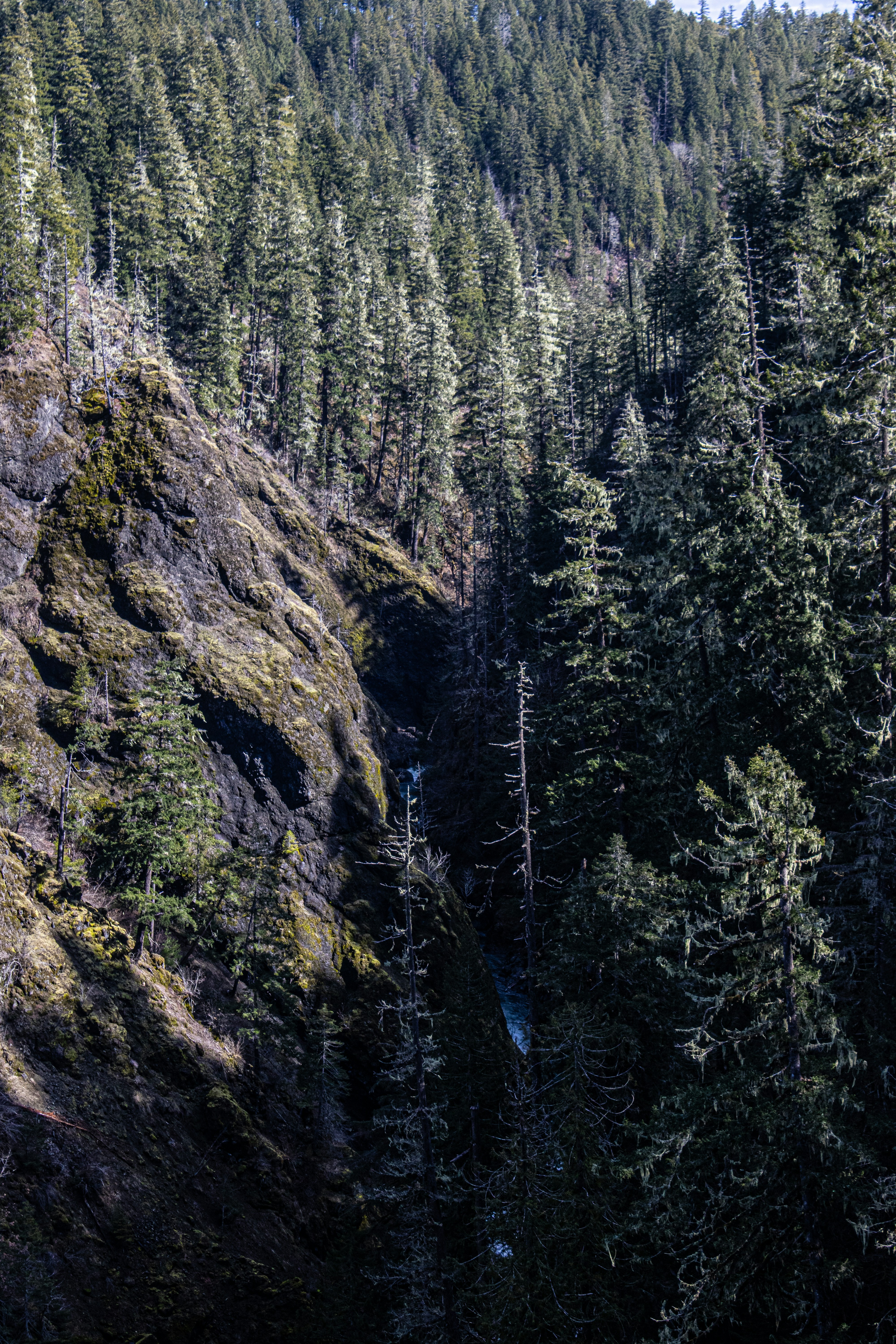 Photo by prphotography262