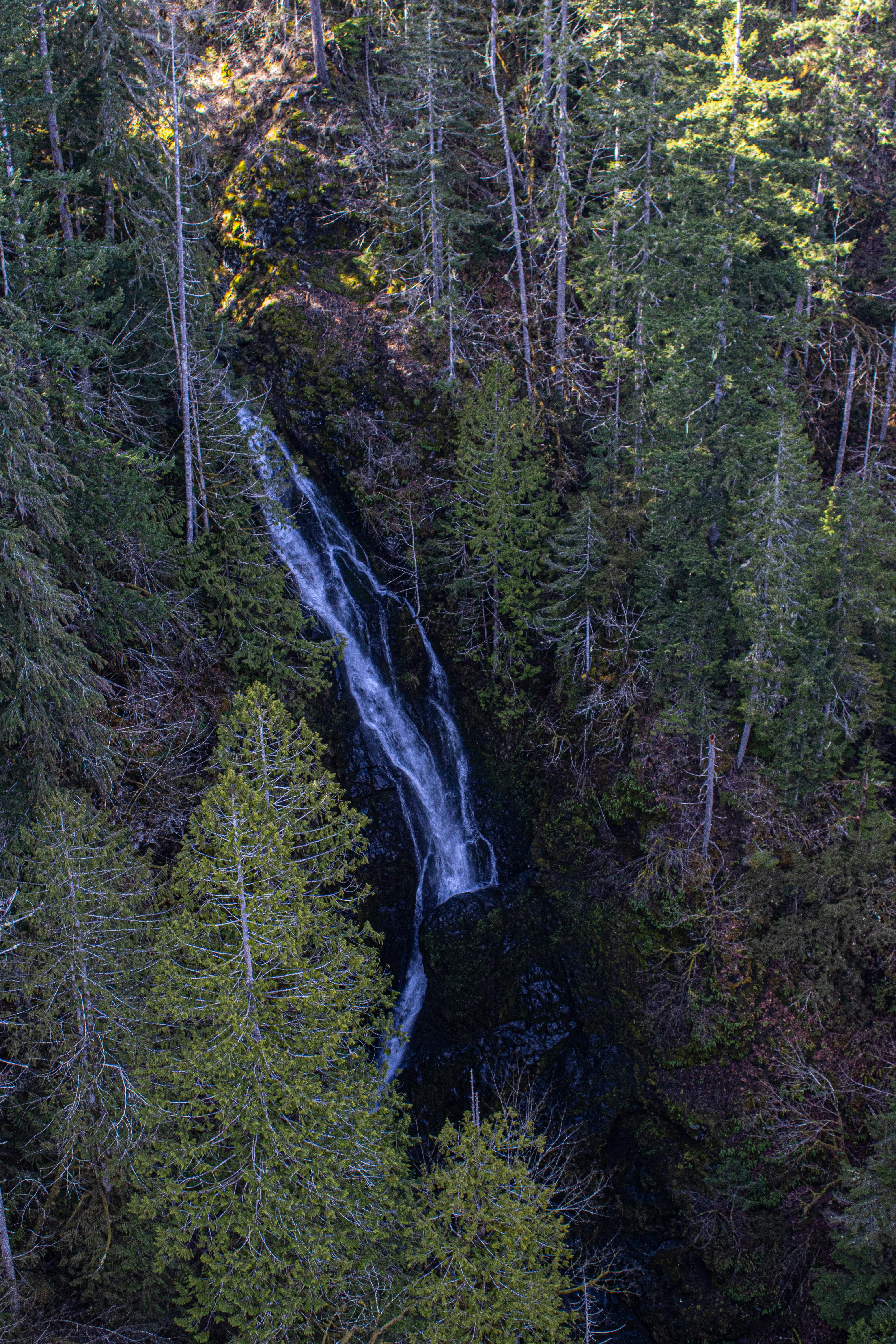 Photo by prphotography262