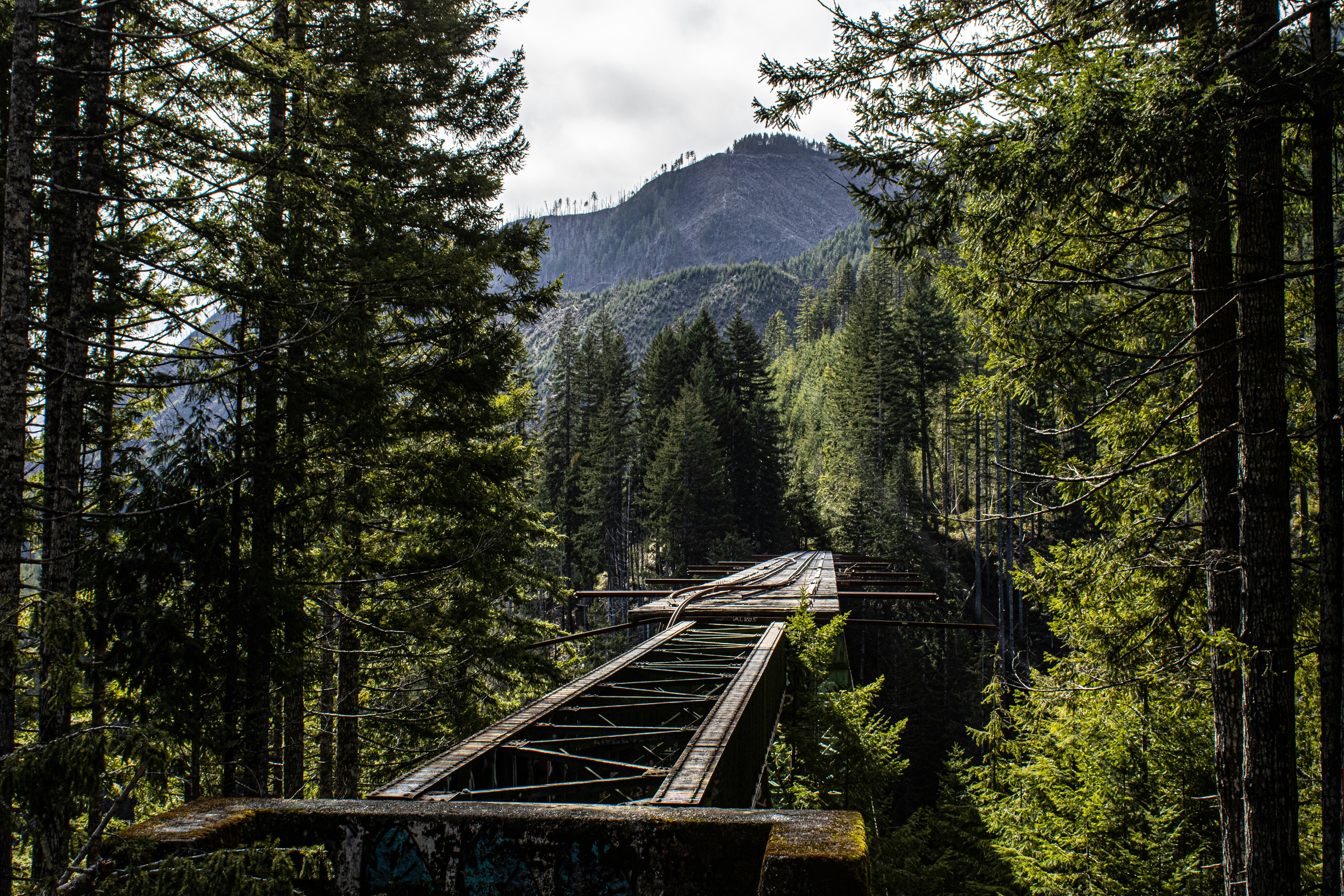 Photo by prphotography262