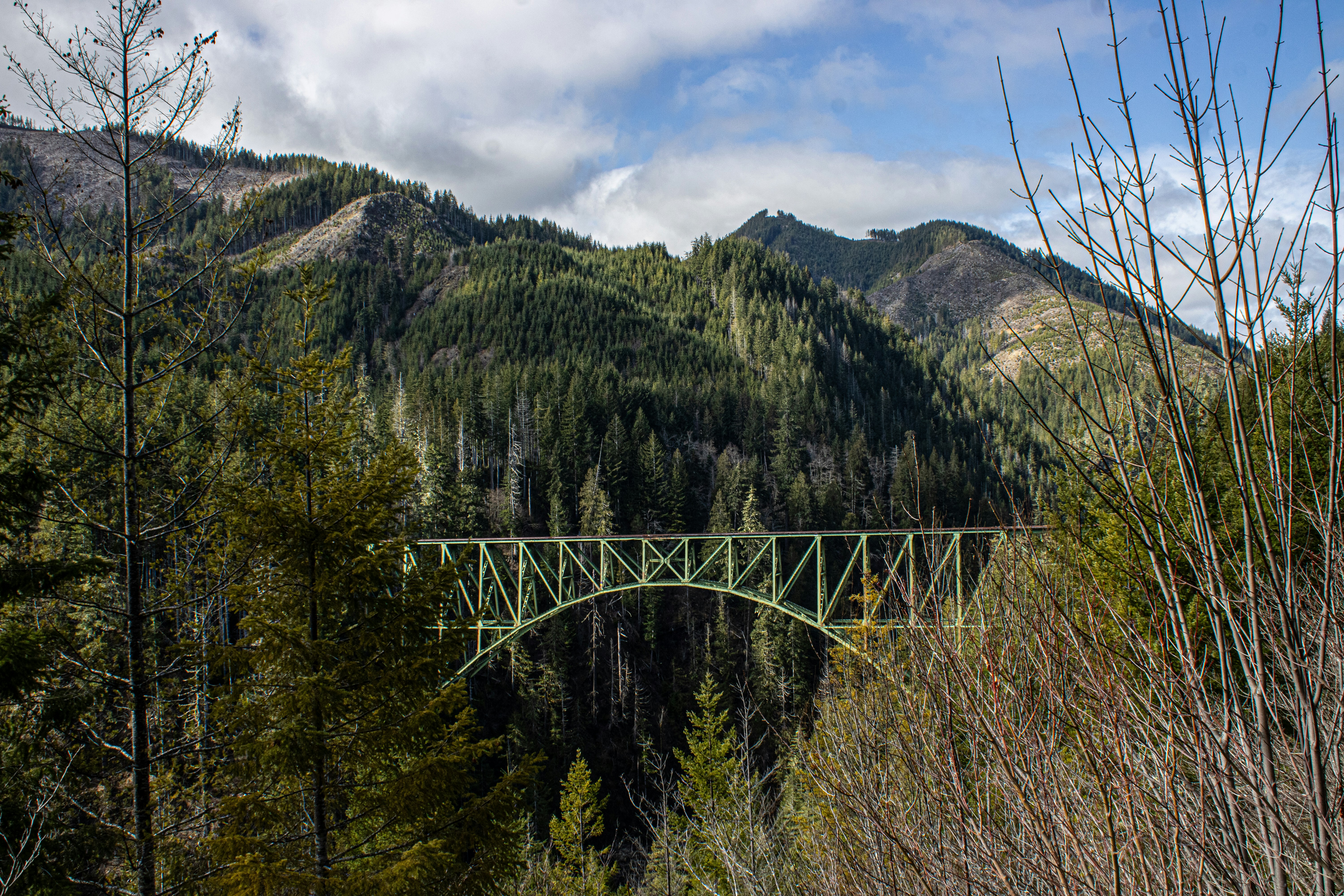 Photo by prphotography262