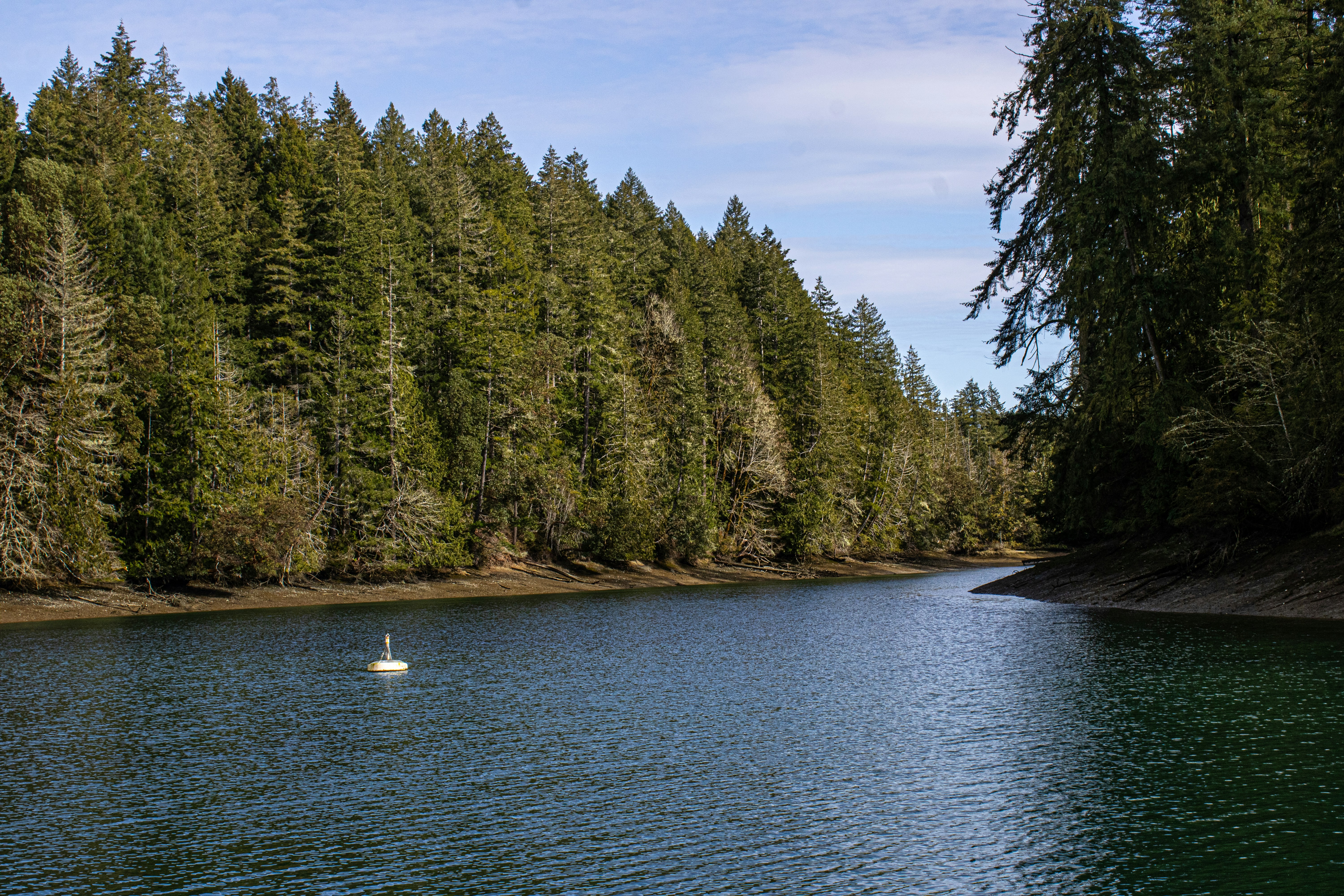 Photo by prphotography262