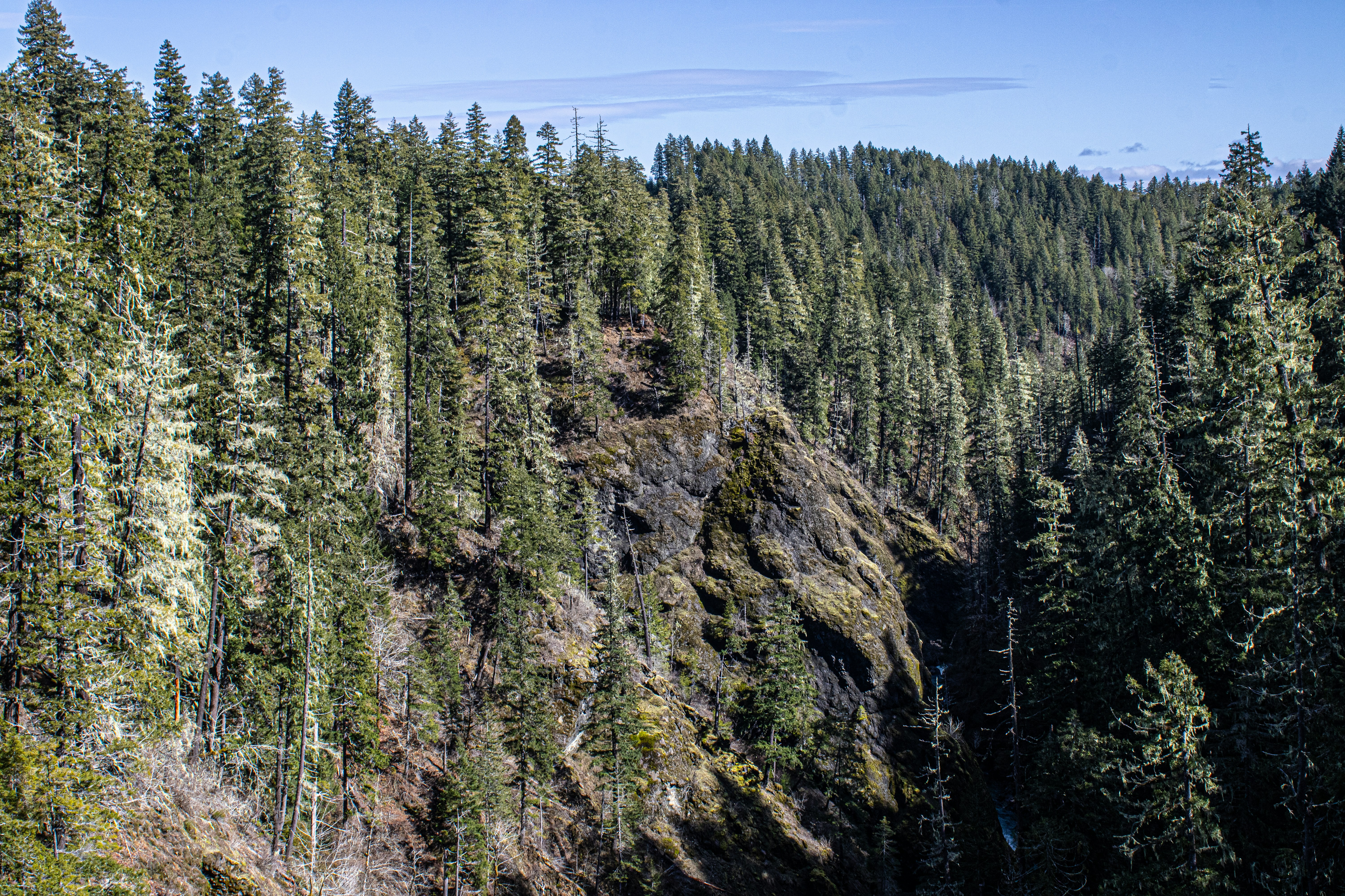 Photo by prphotography262