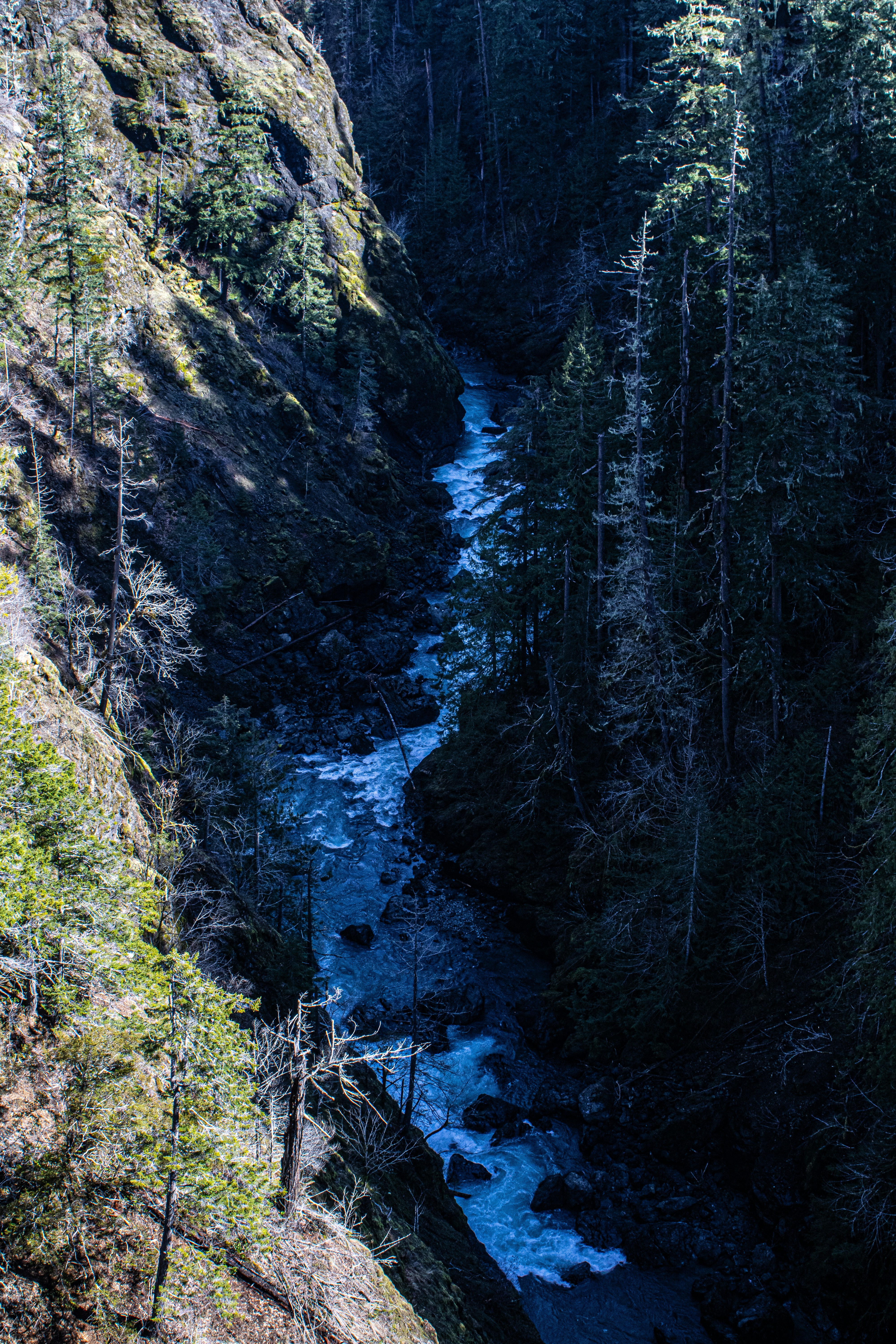 Photo by prphotography262