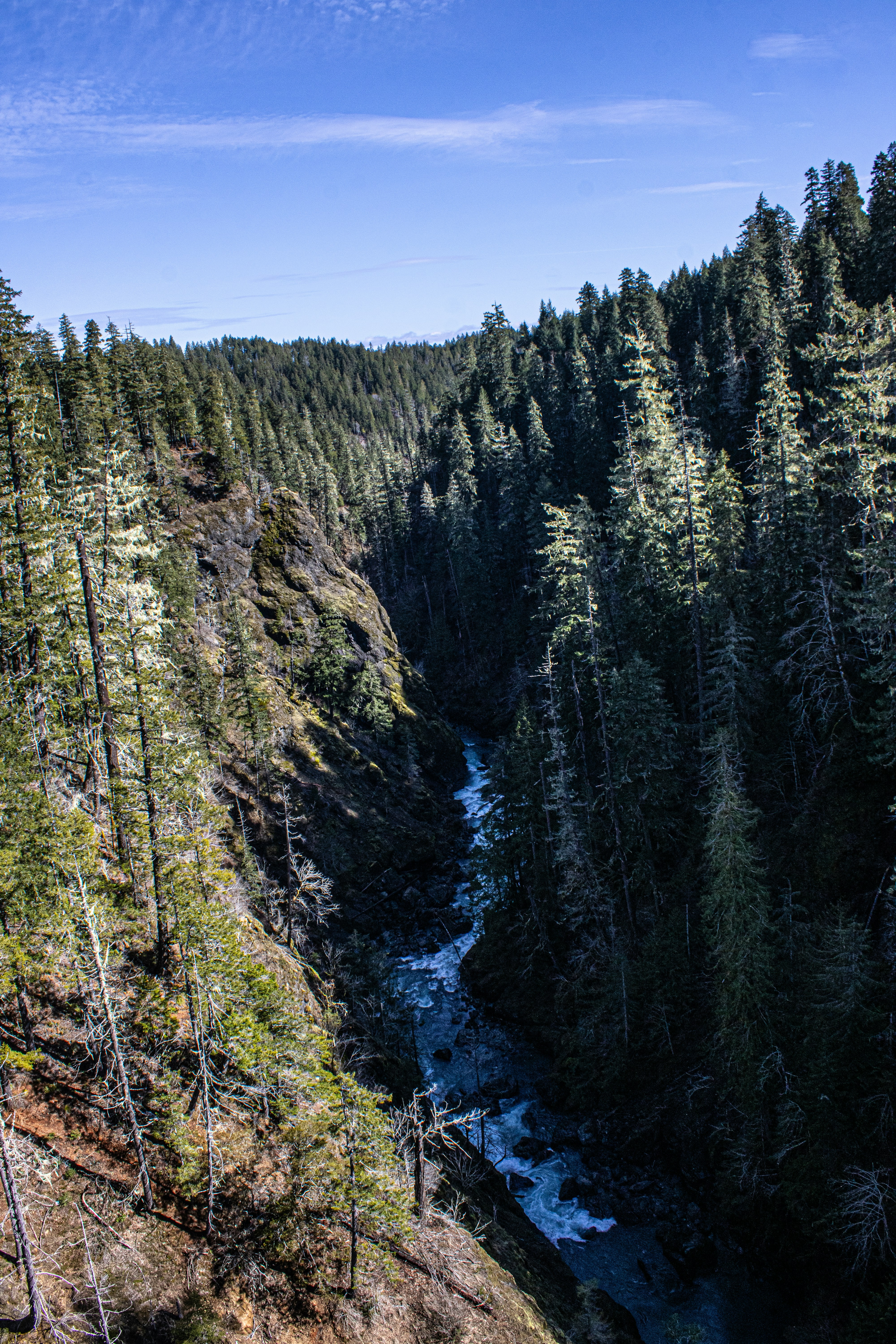 Photo by prphotography262