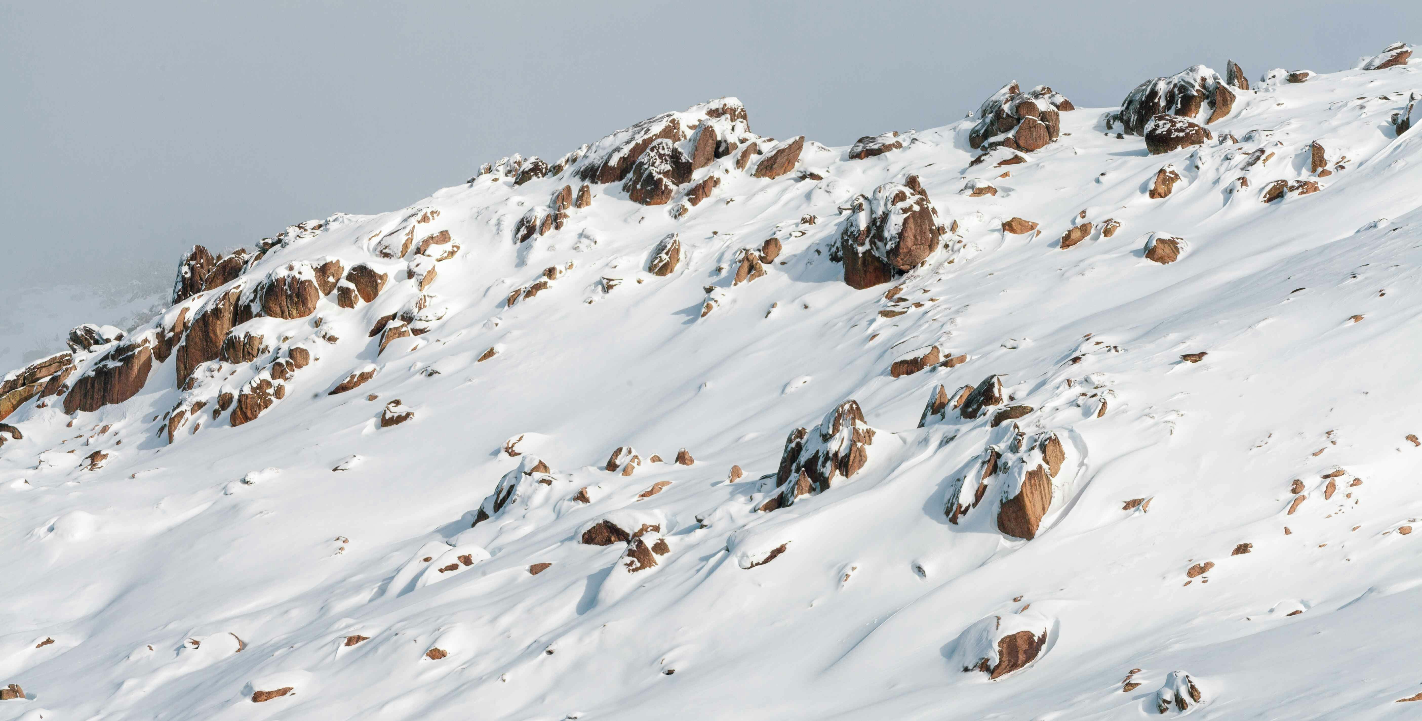 Photo by macourtmedia