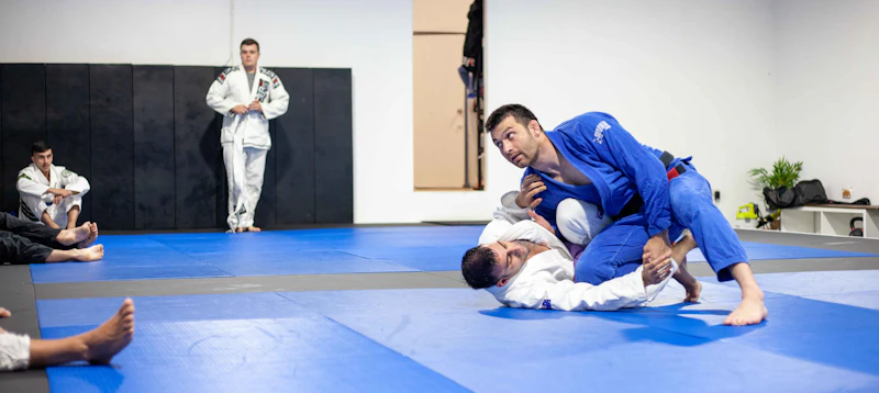 BJJ students drilling technique in the gym