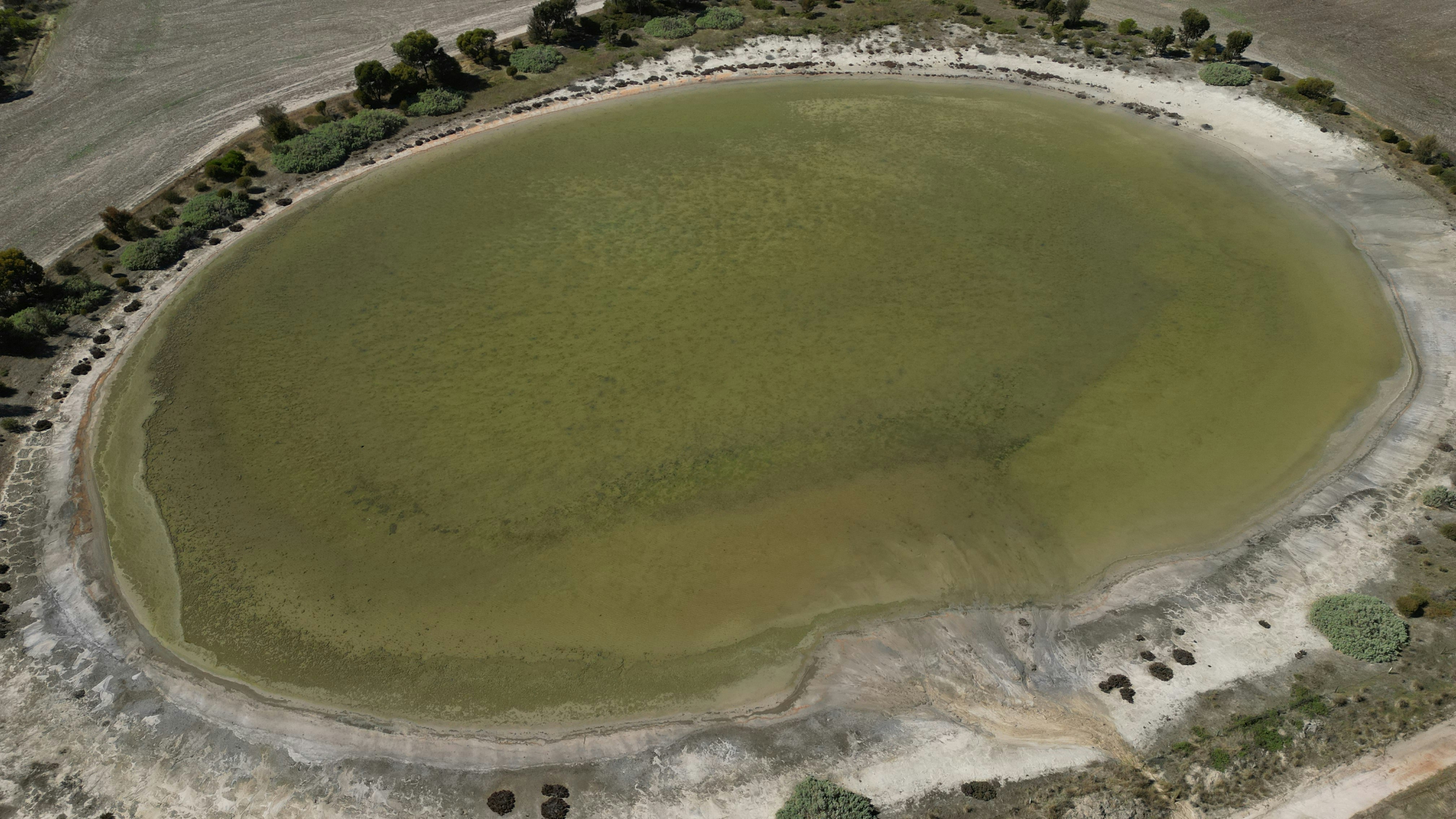 Una veduta aerea di un lago con una tonalità verde.