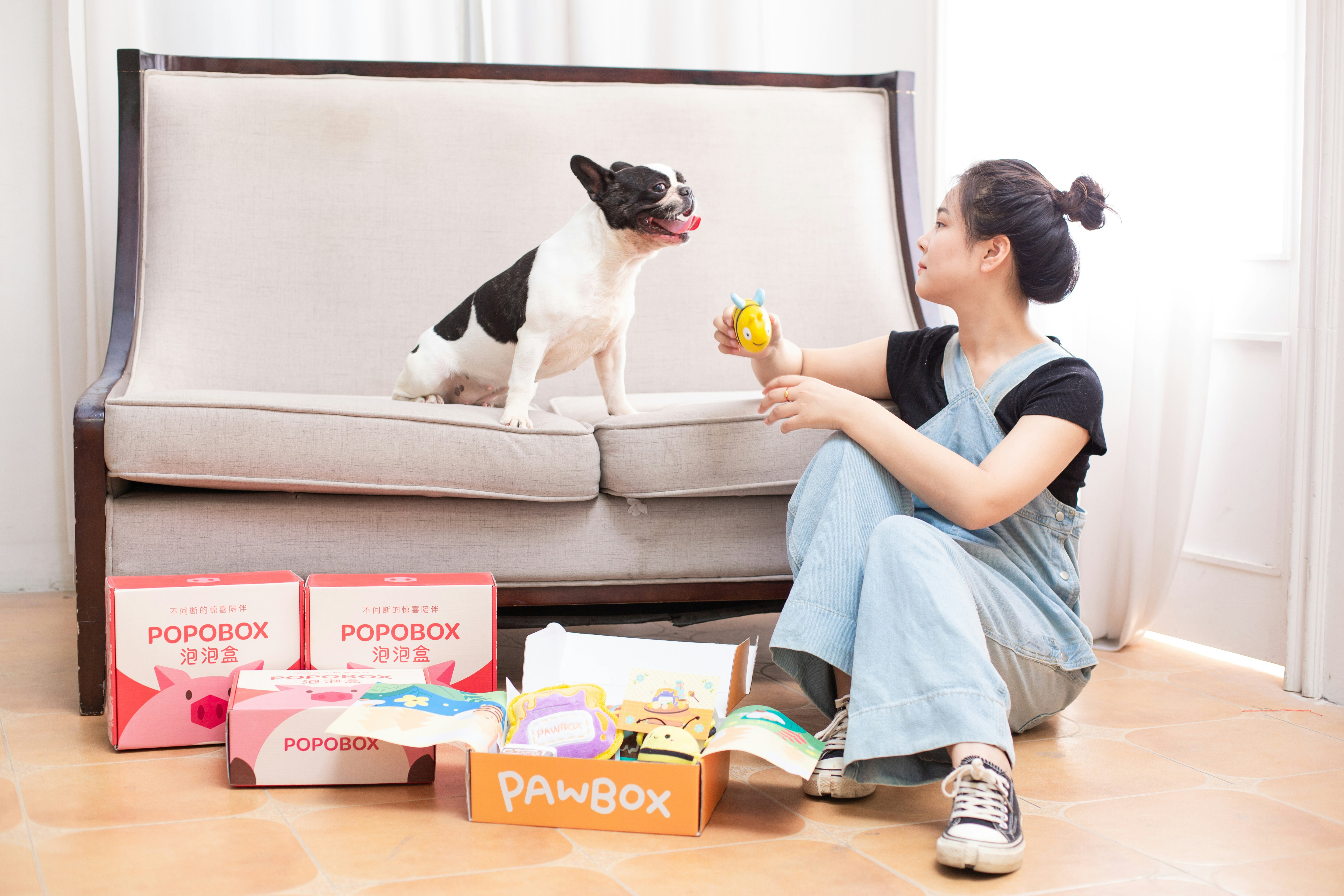 Best Korean Pet Products You Can Buy Online
