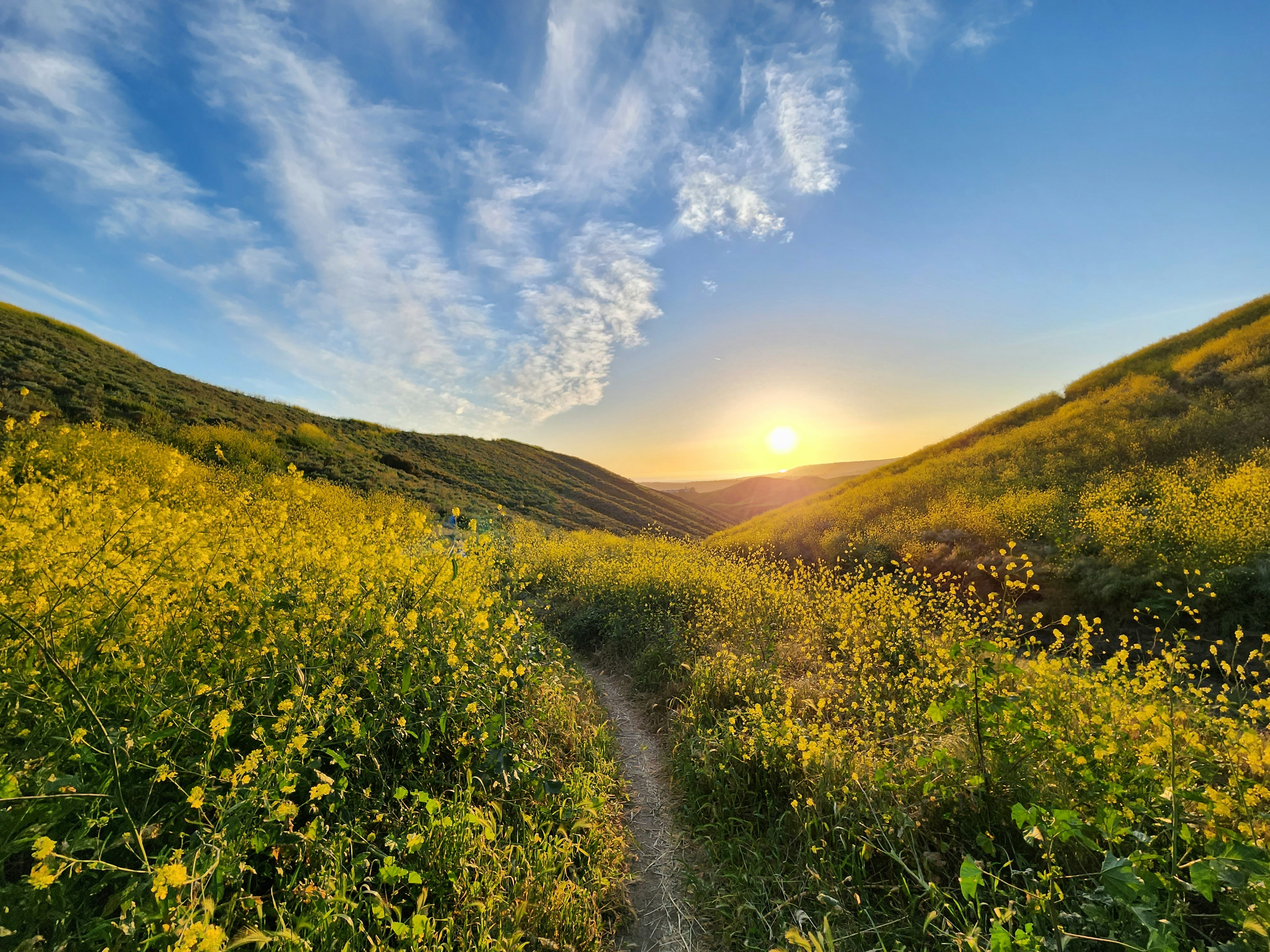 Serene natural setting with a path leading to a bright horizon, symbolizing a journey of healing and hope - faith based recovery