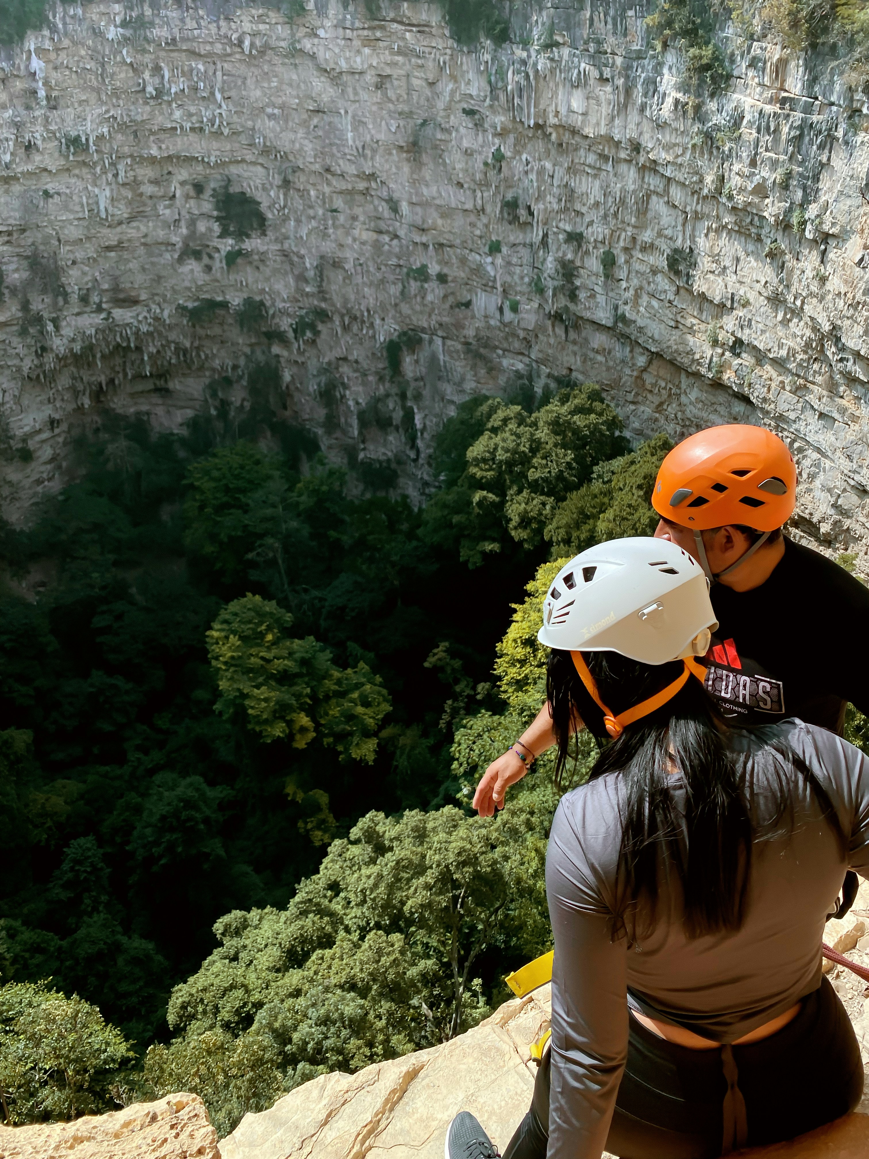 People gaze into a lush, deep canyon.