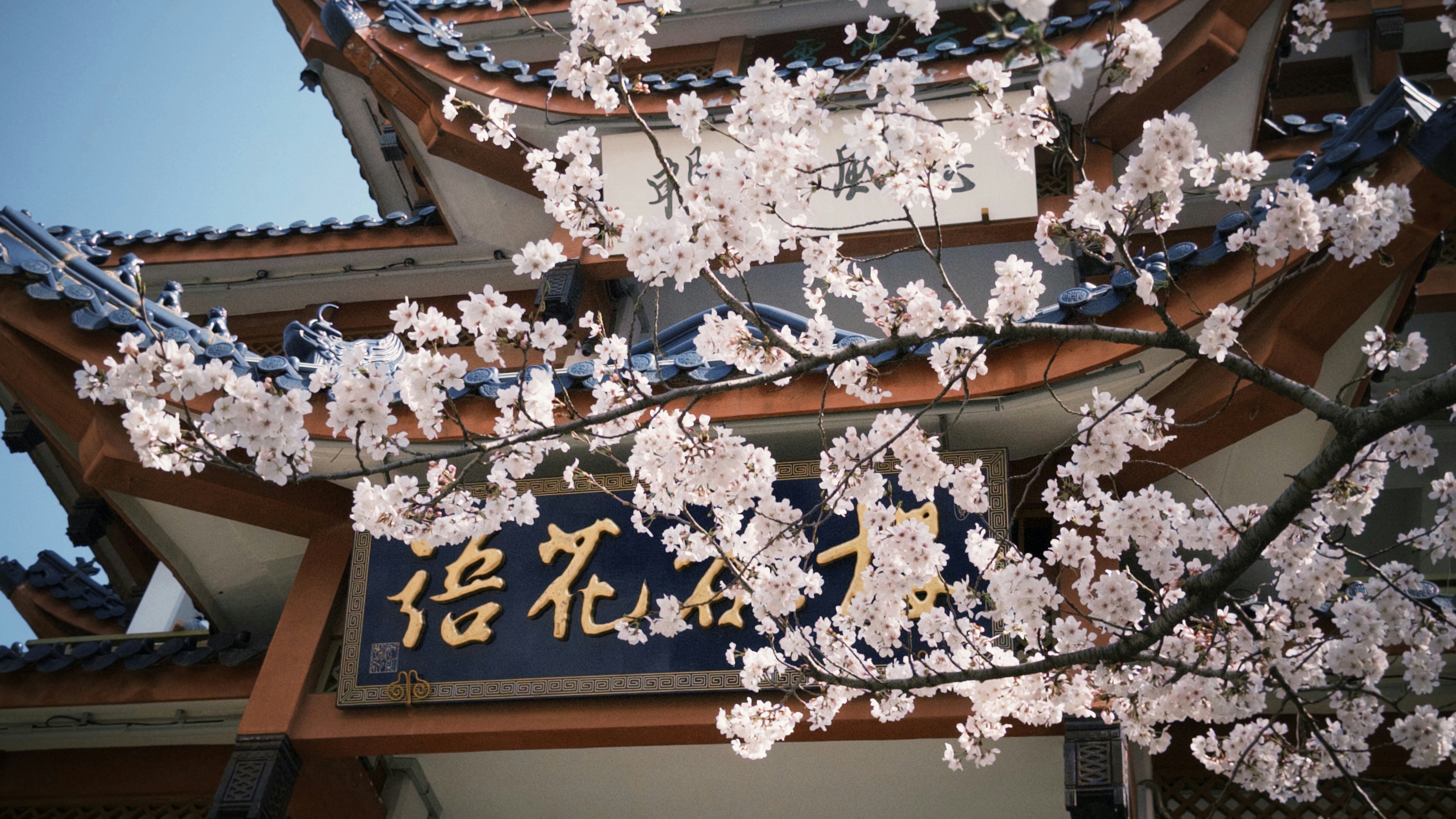 Best Hotels in Sakura for Long Stays (2026)
