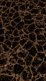 Brown surface with cracks.