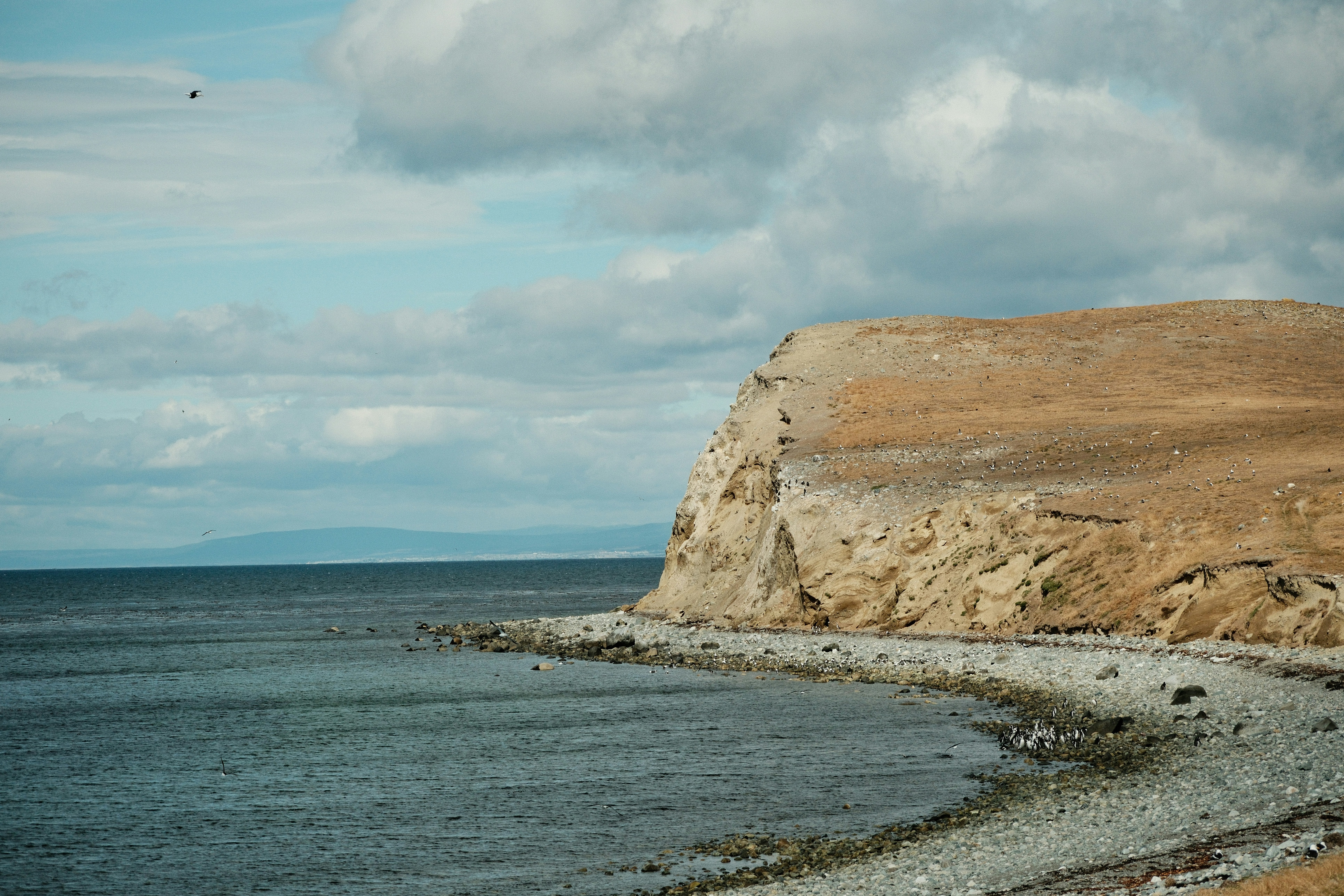 Photo by tonny_huang