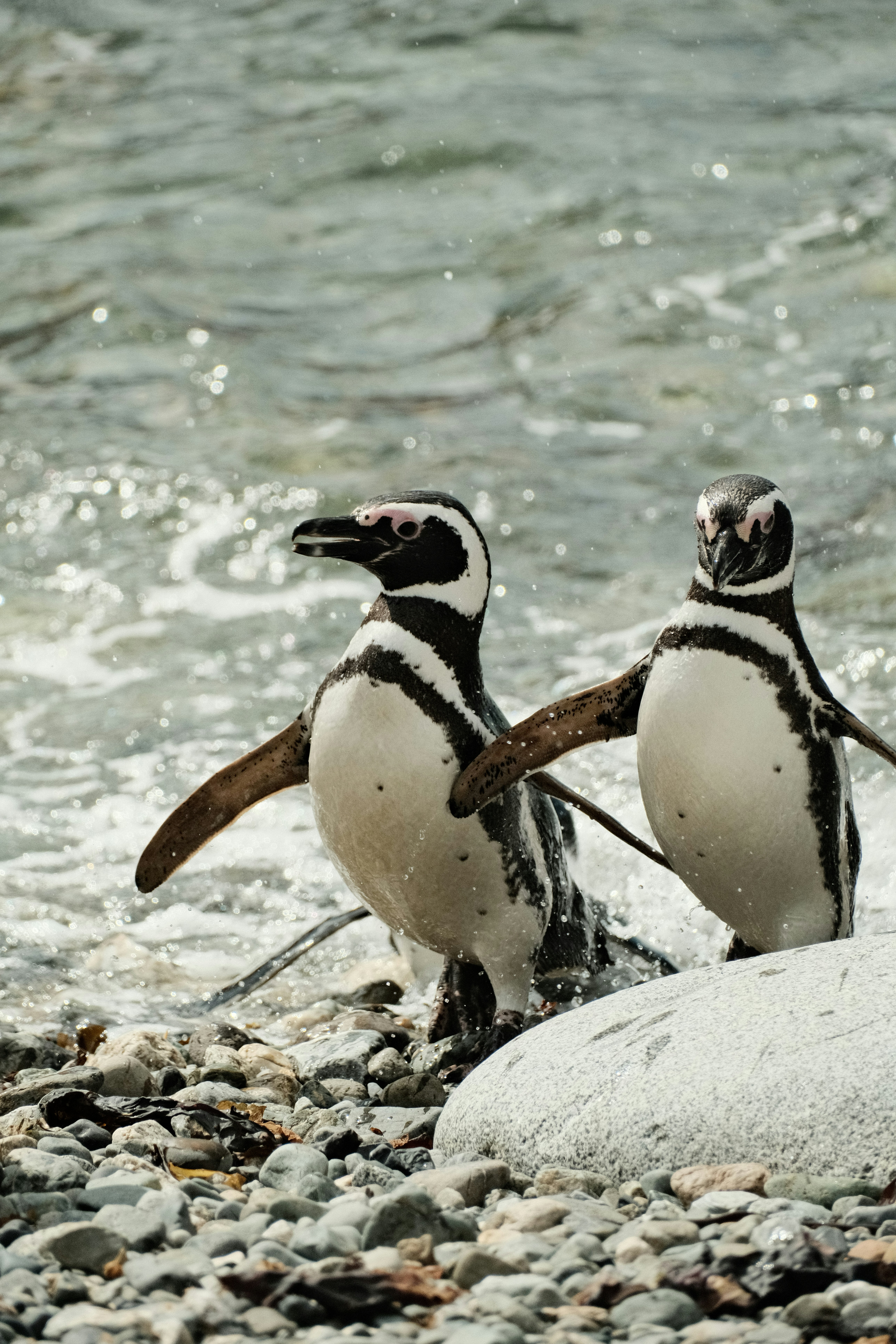 Photo by tonny_huang