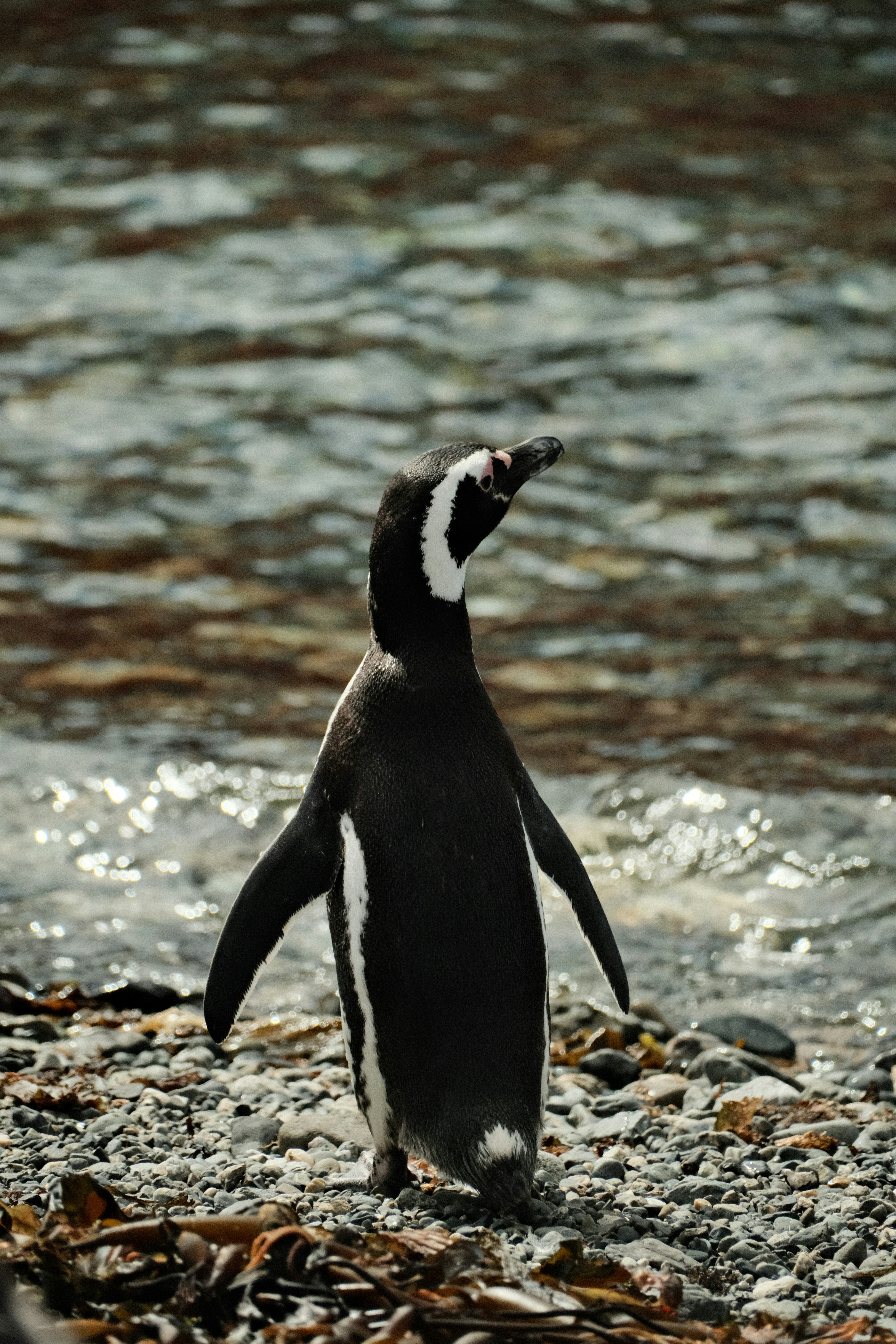 Photo by tonny_huang