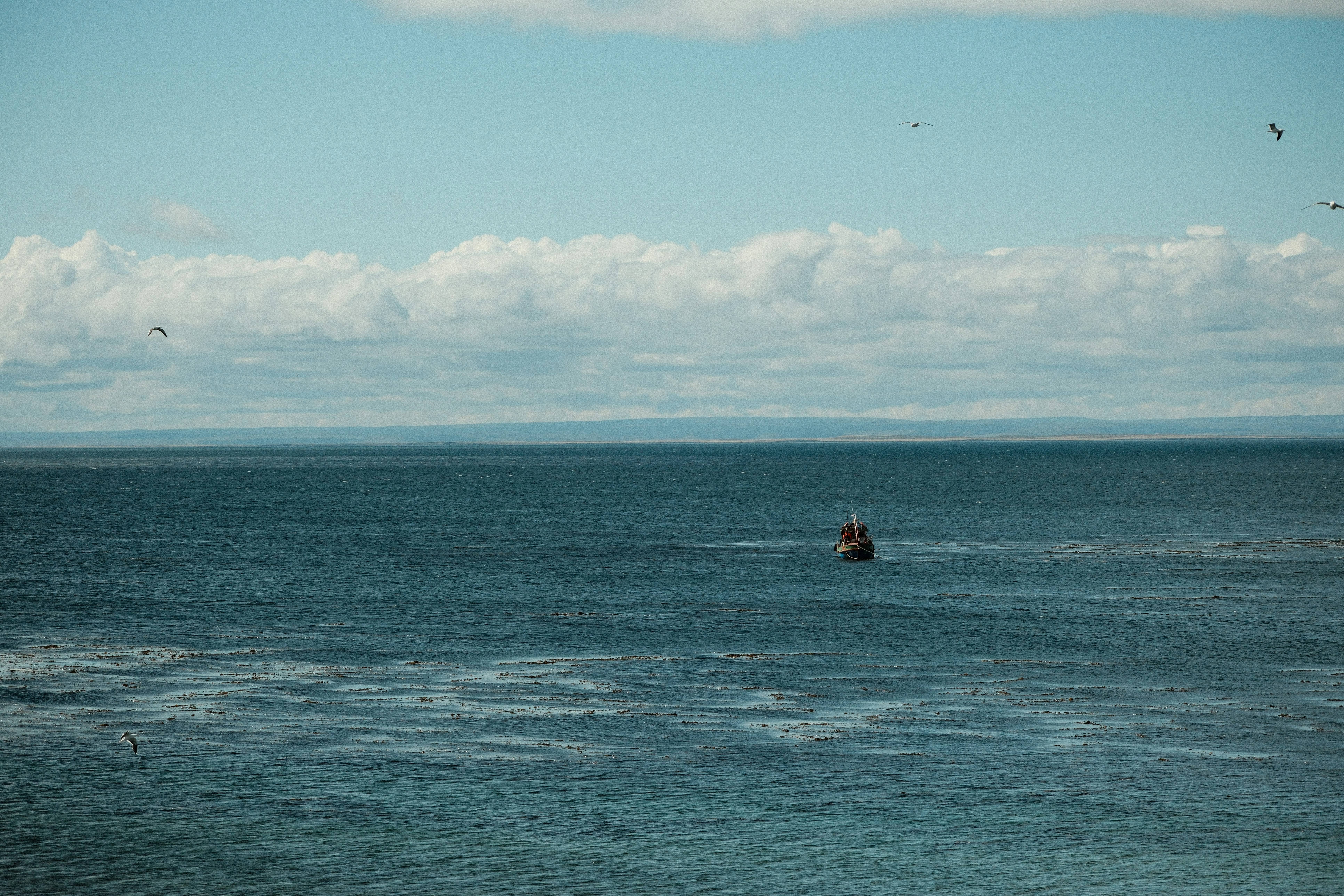 Photo by tonny_huang