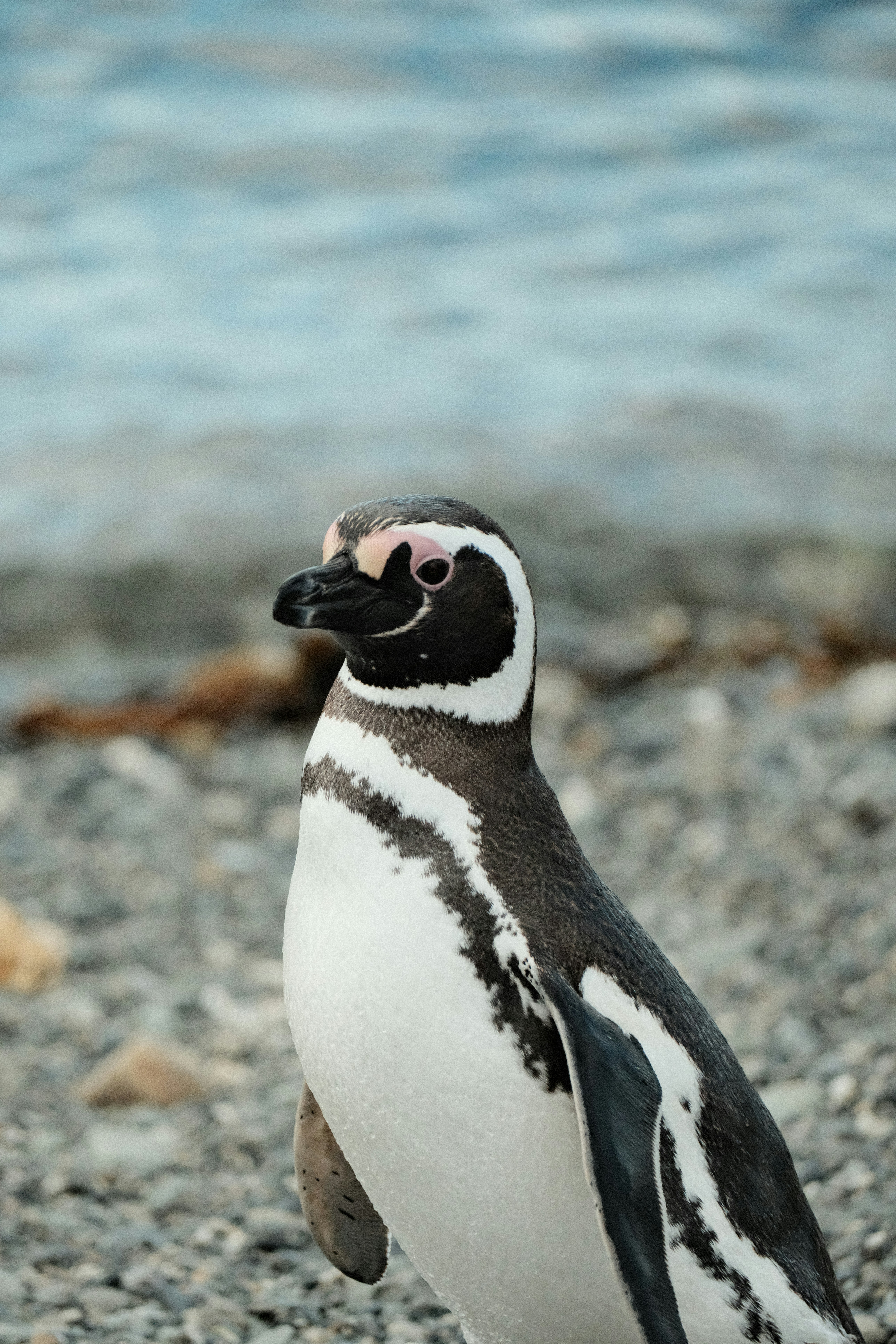 Photo by tonny_huang