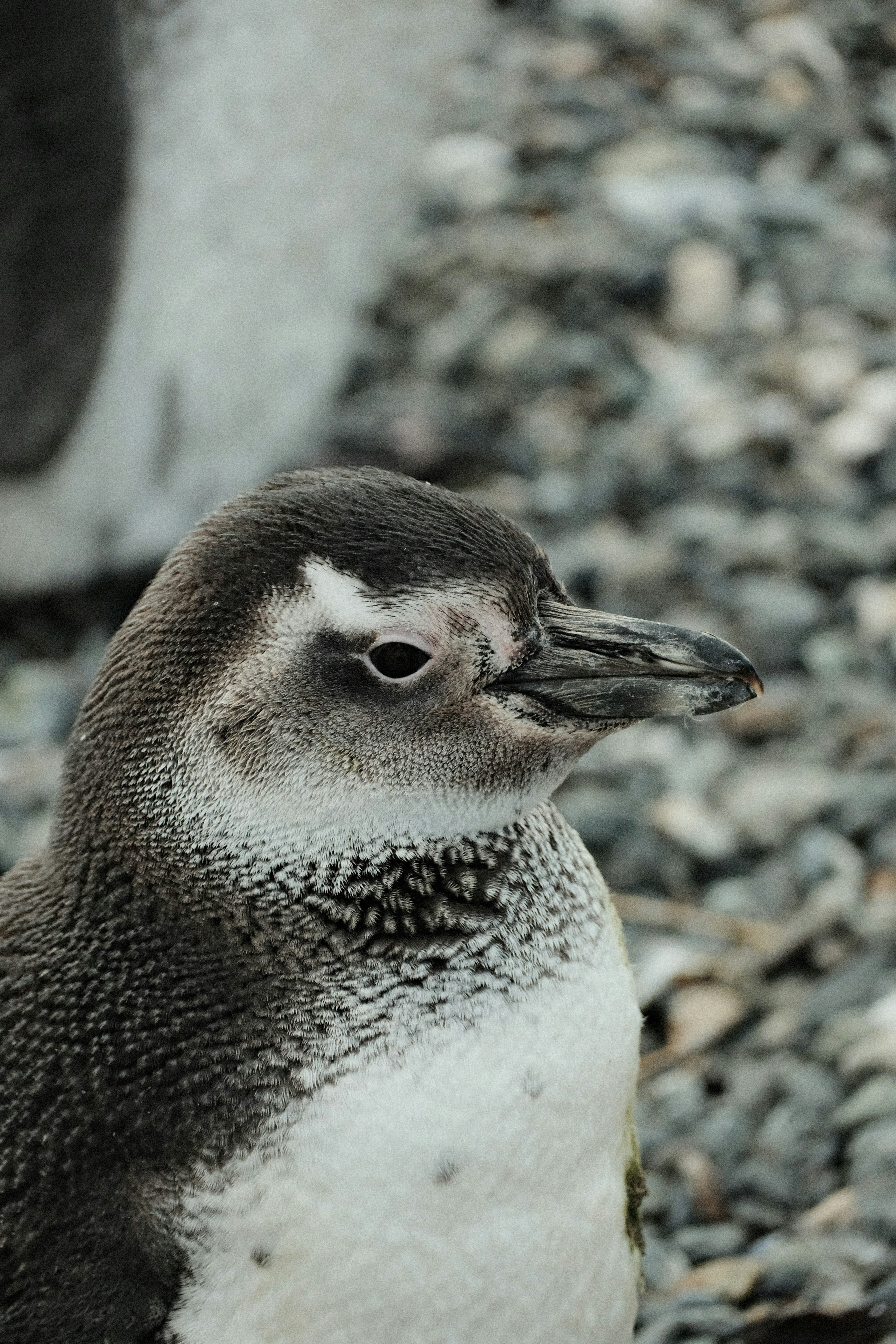 Photo by tonny_huang