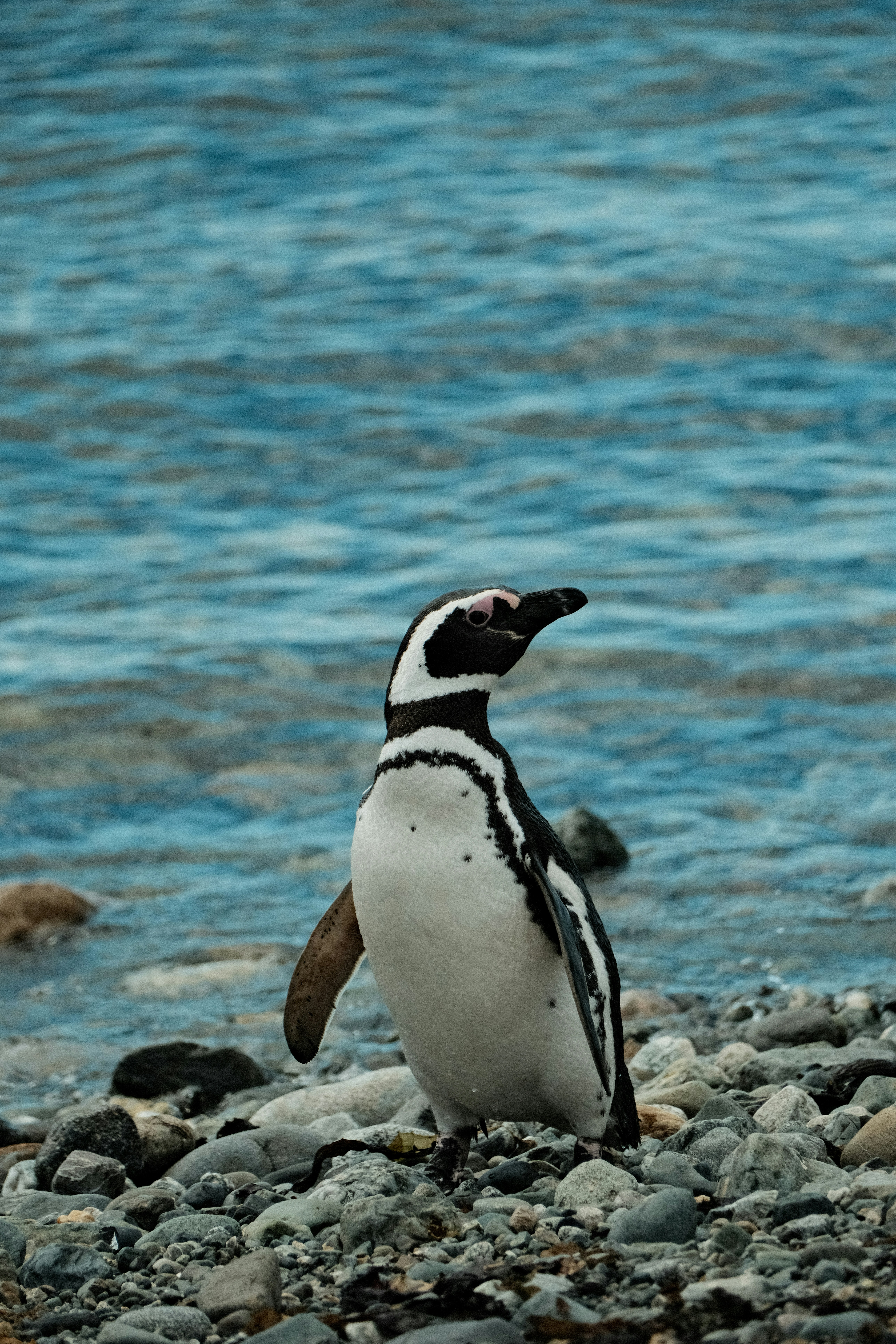 Photo by tonny_huang