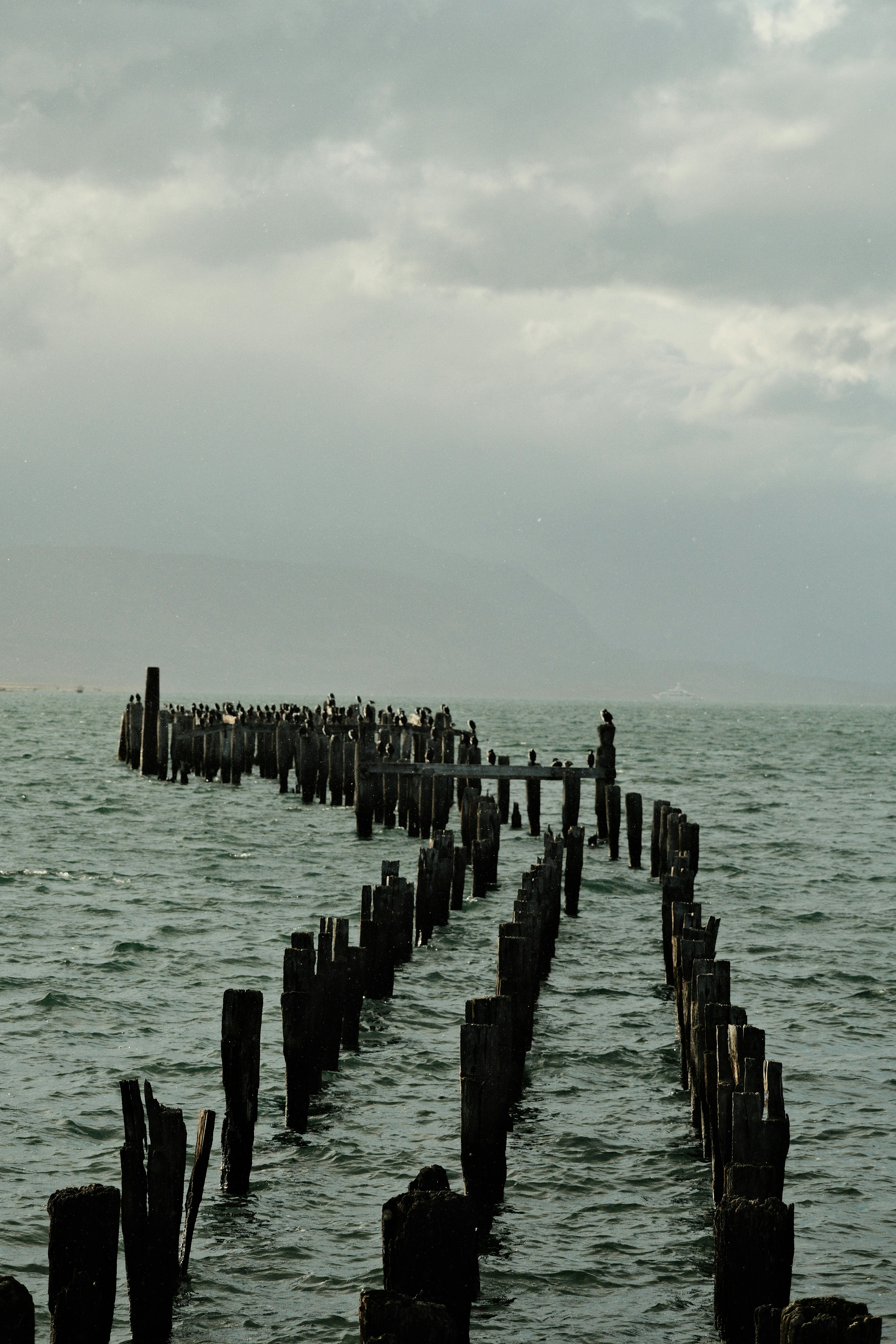 Photo by tonny_huang