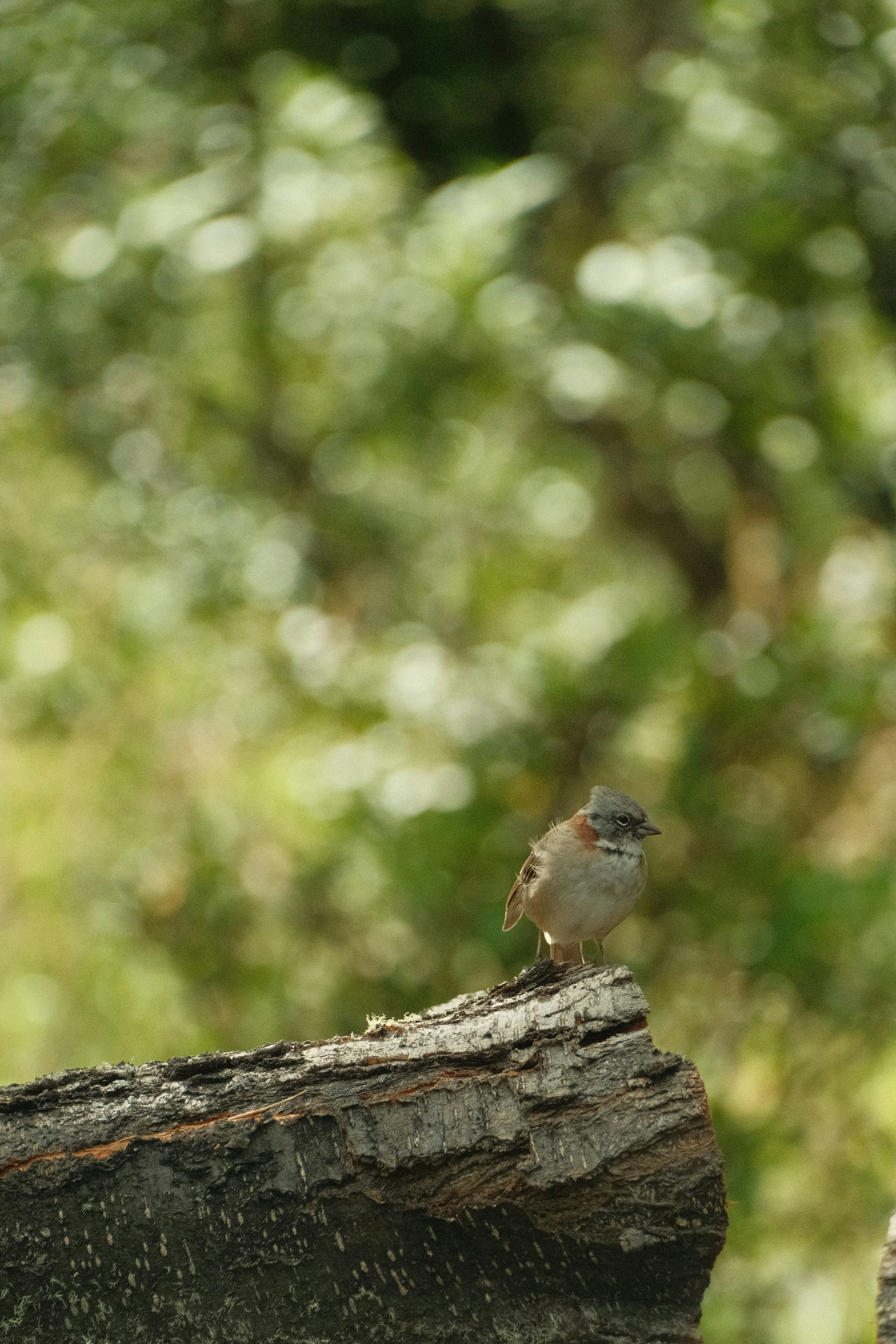 Photo by tonny_huang