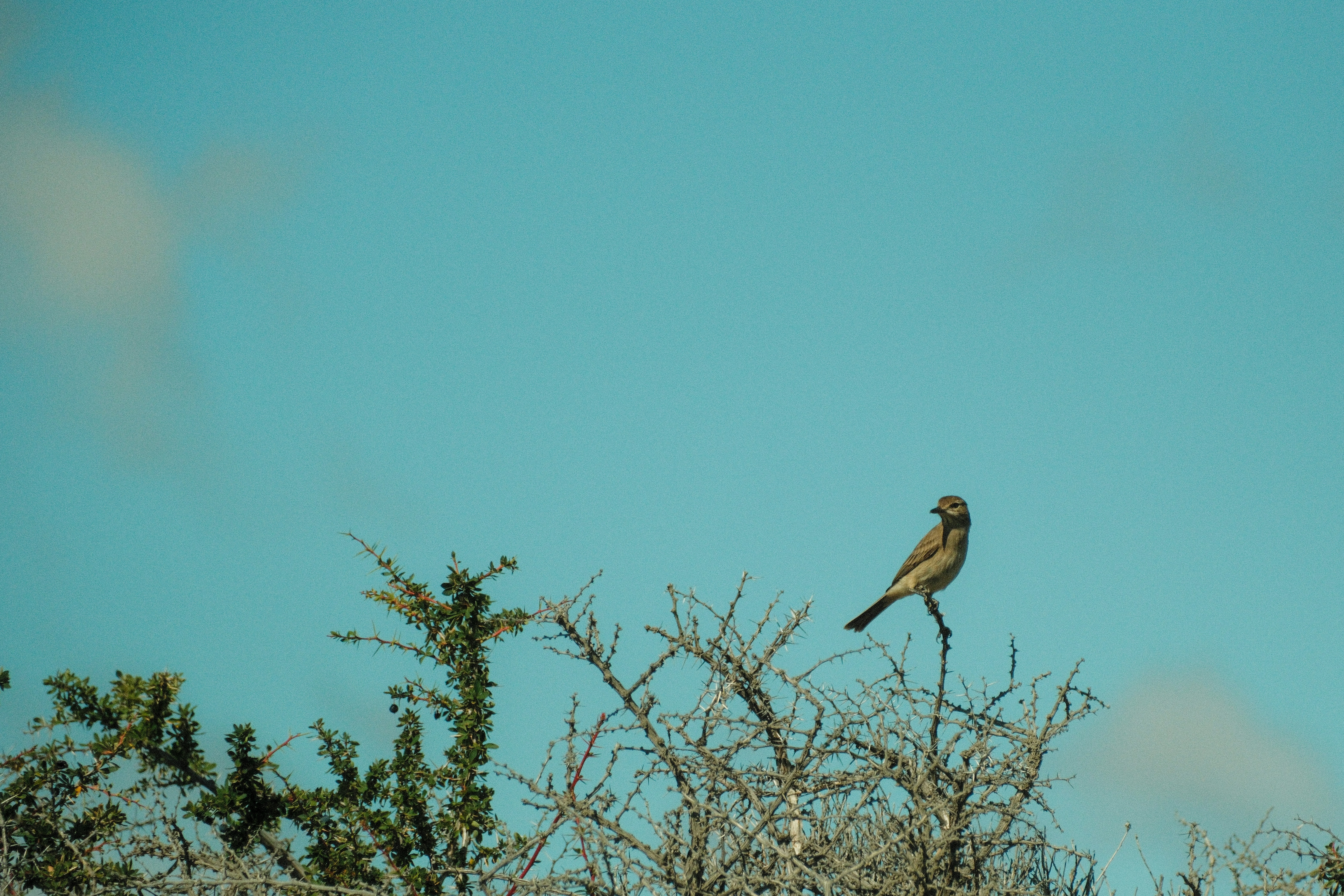 Photo by tonny_huang