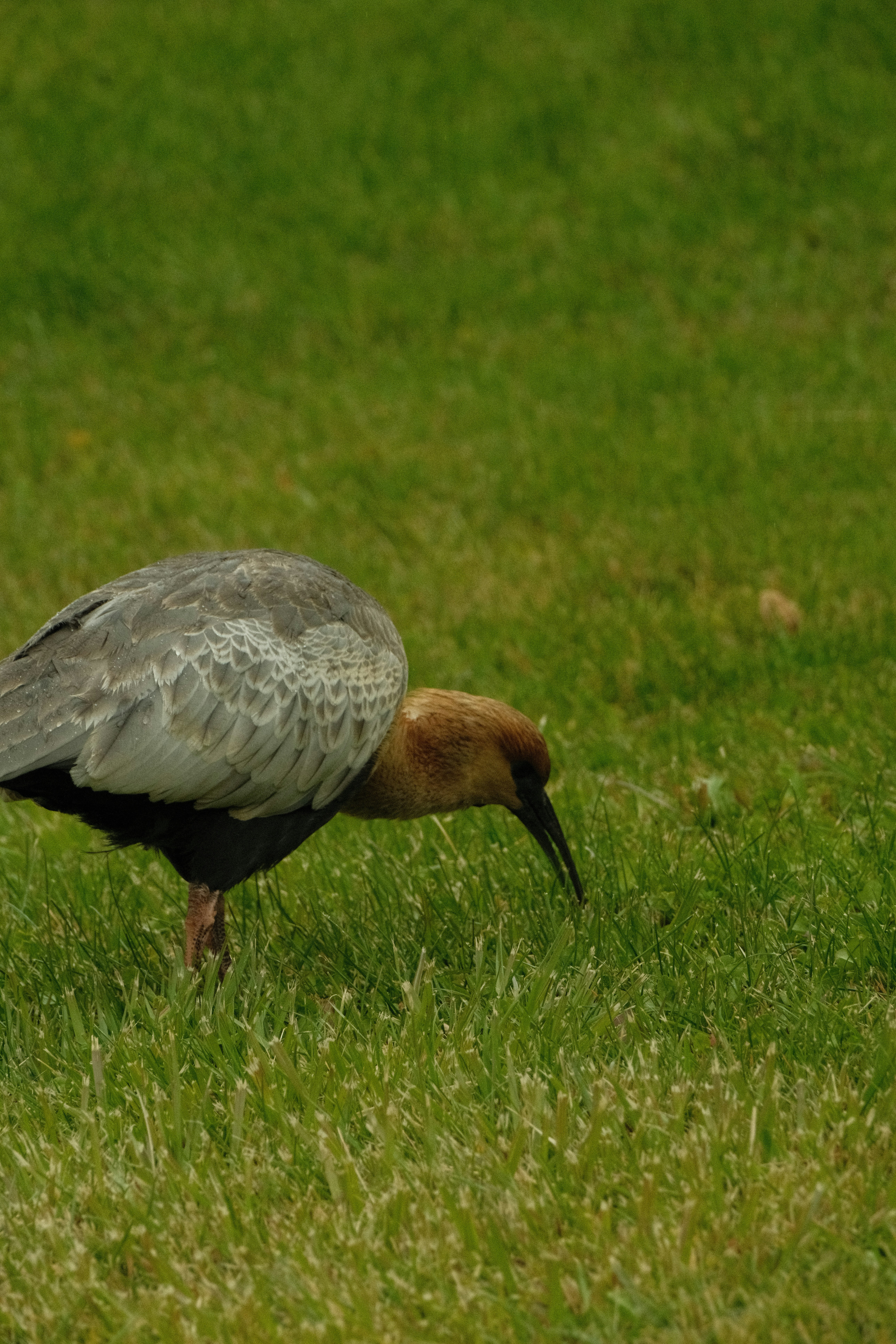 Photo by tonny_huang