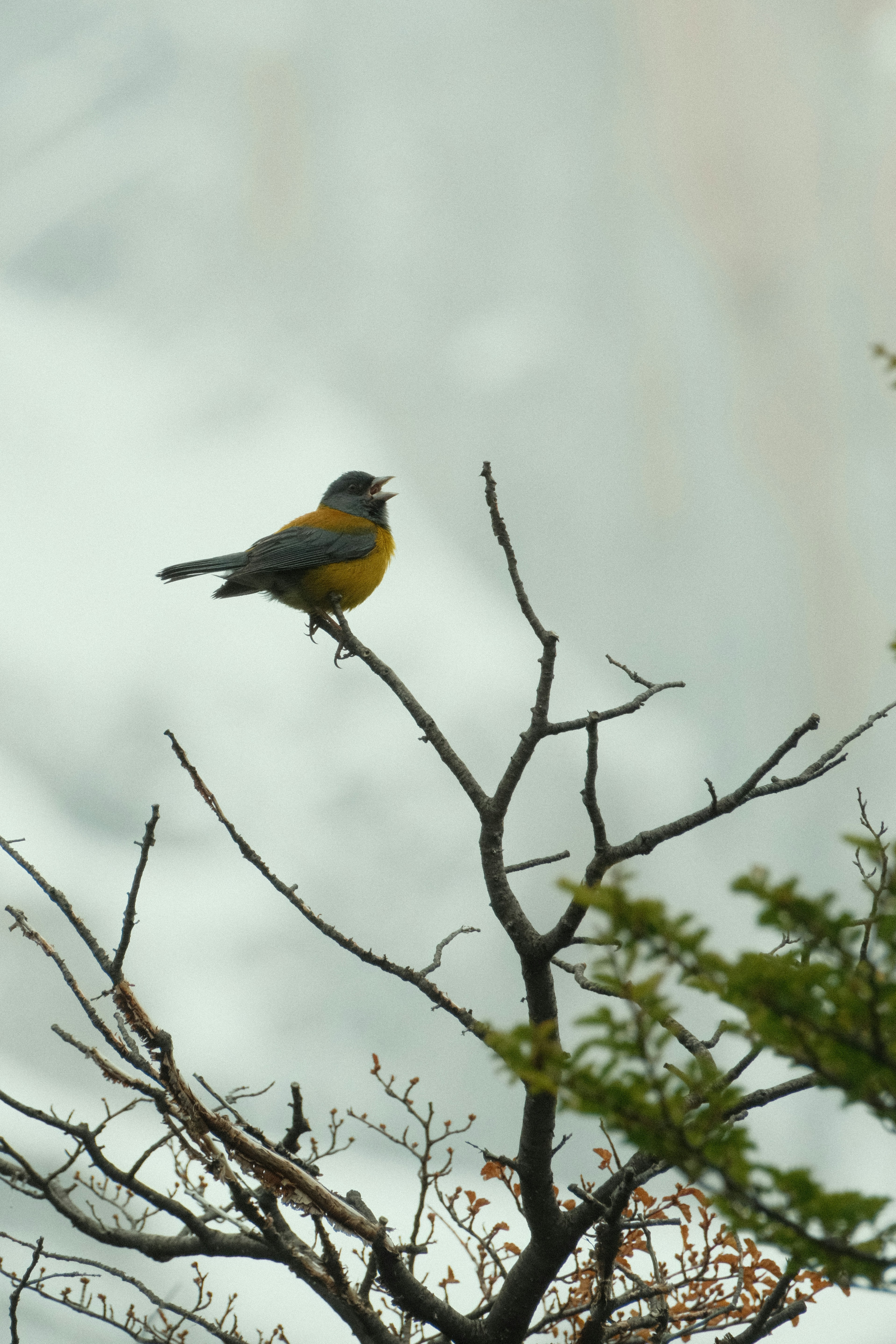 Photo by tonny_huang