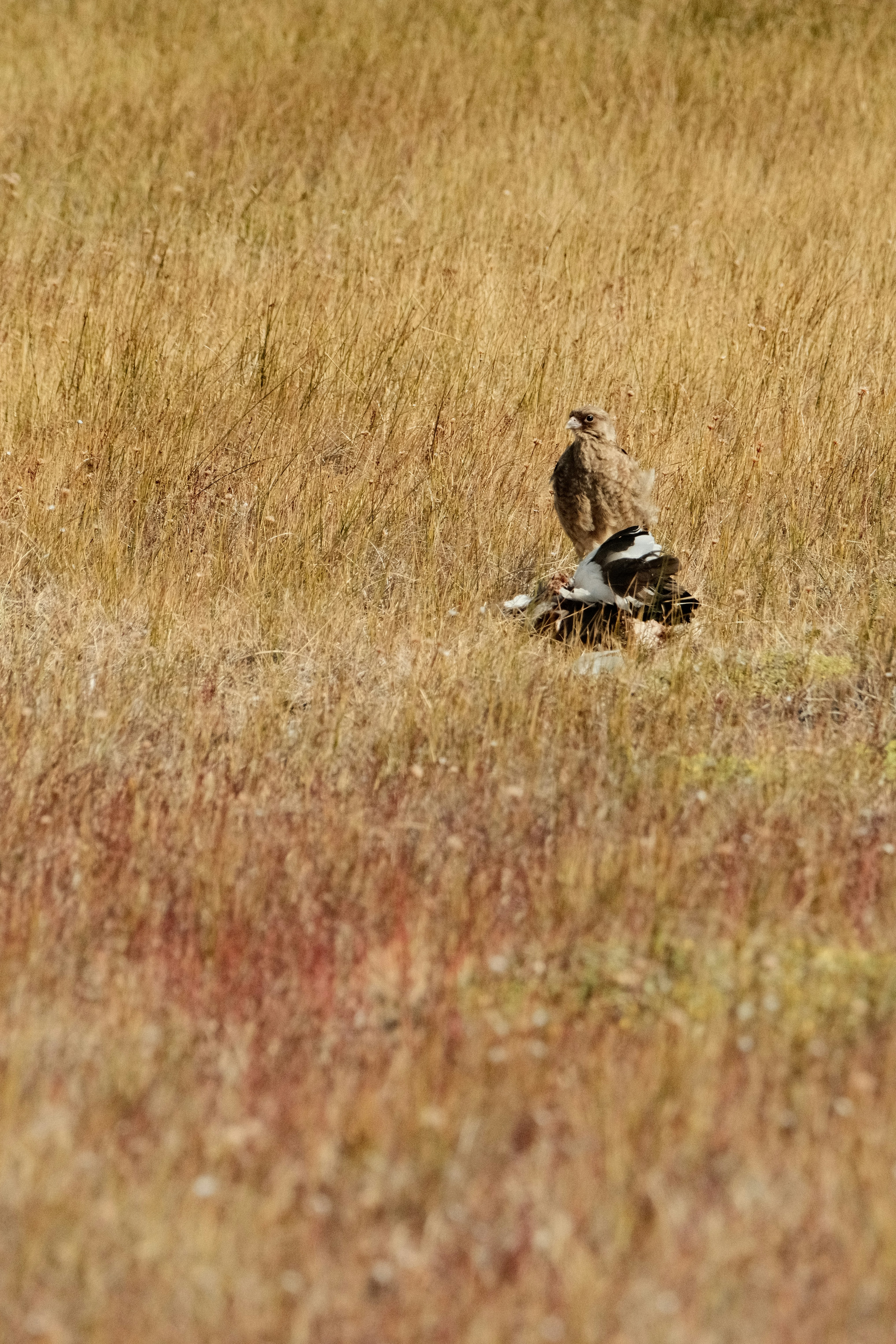 Photo by tonny_huang