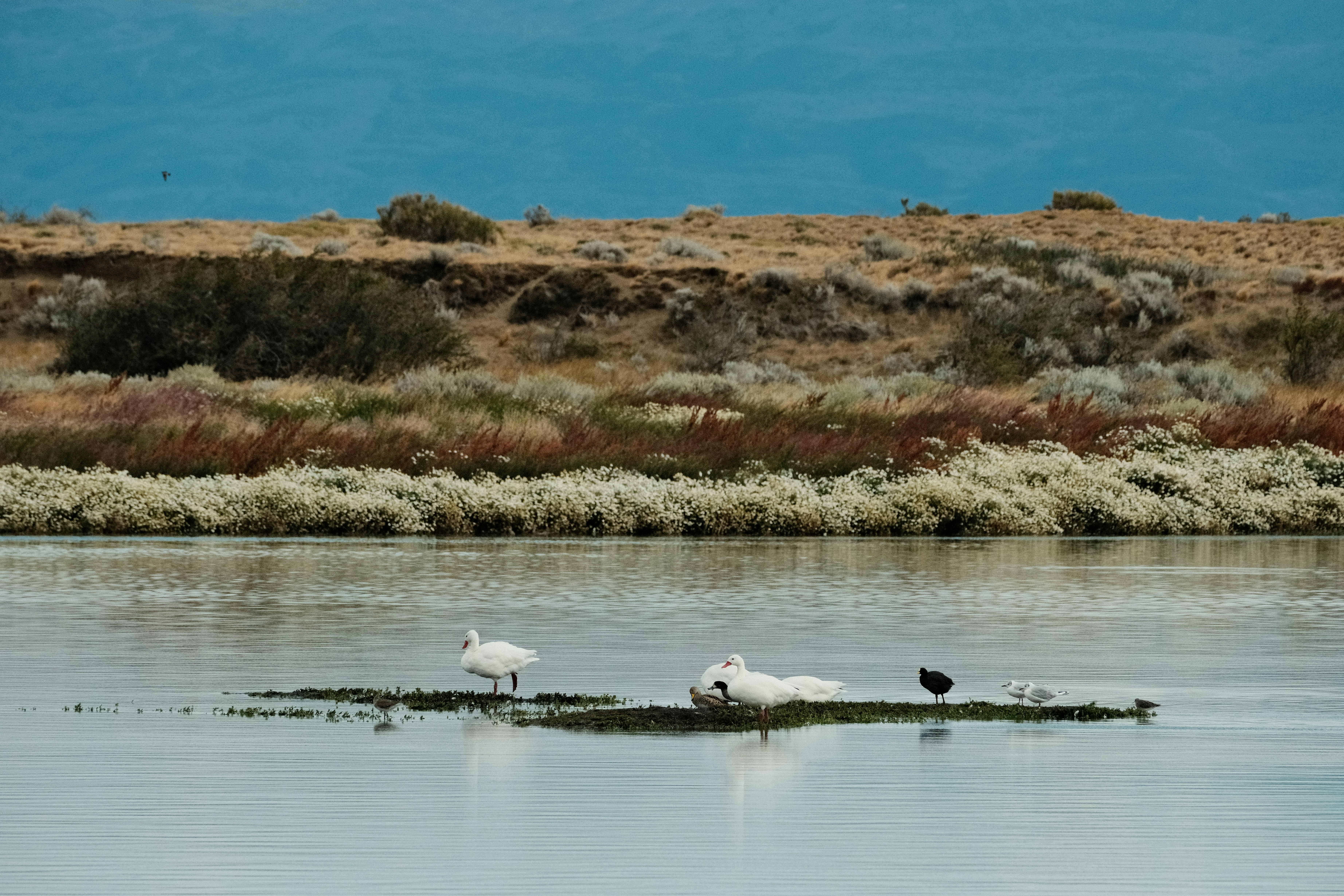 El Calafate travel photo