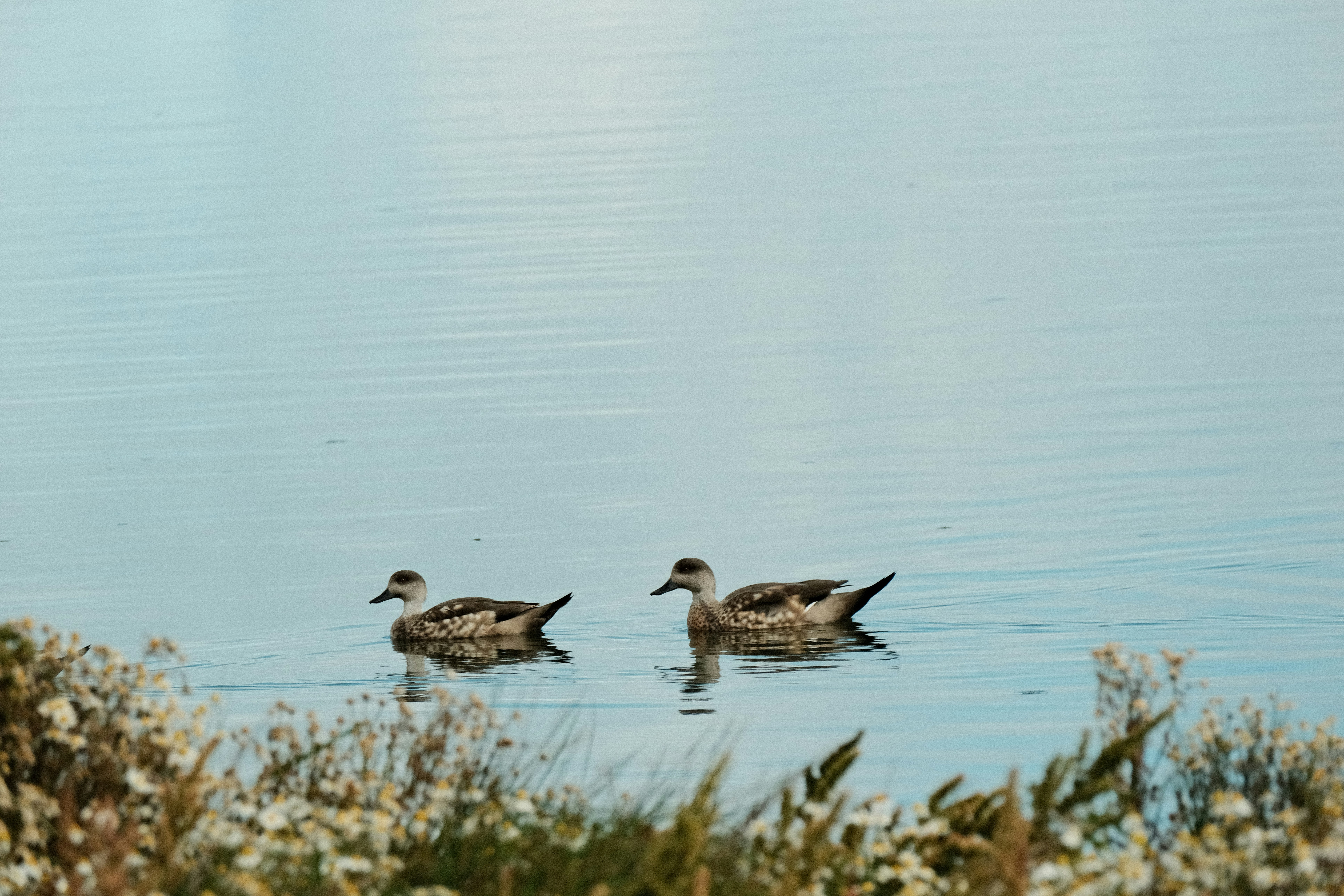 Photo by tonny_huang