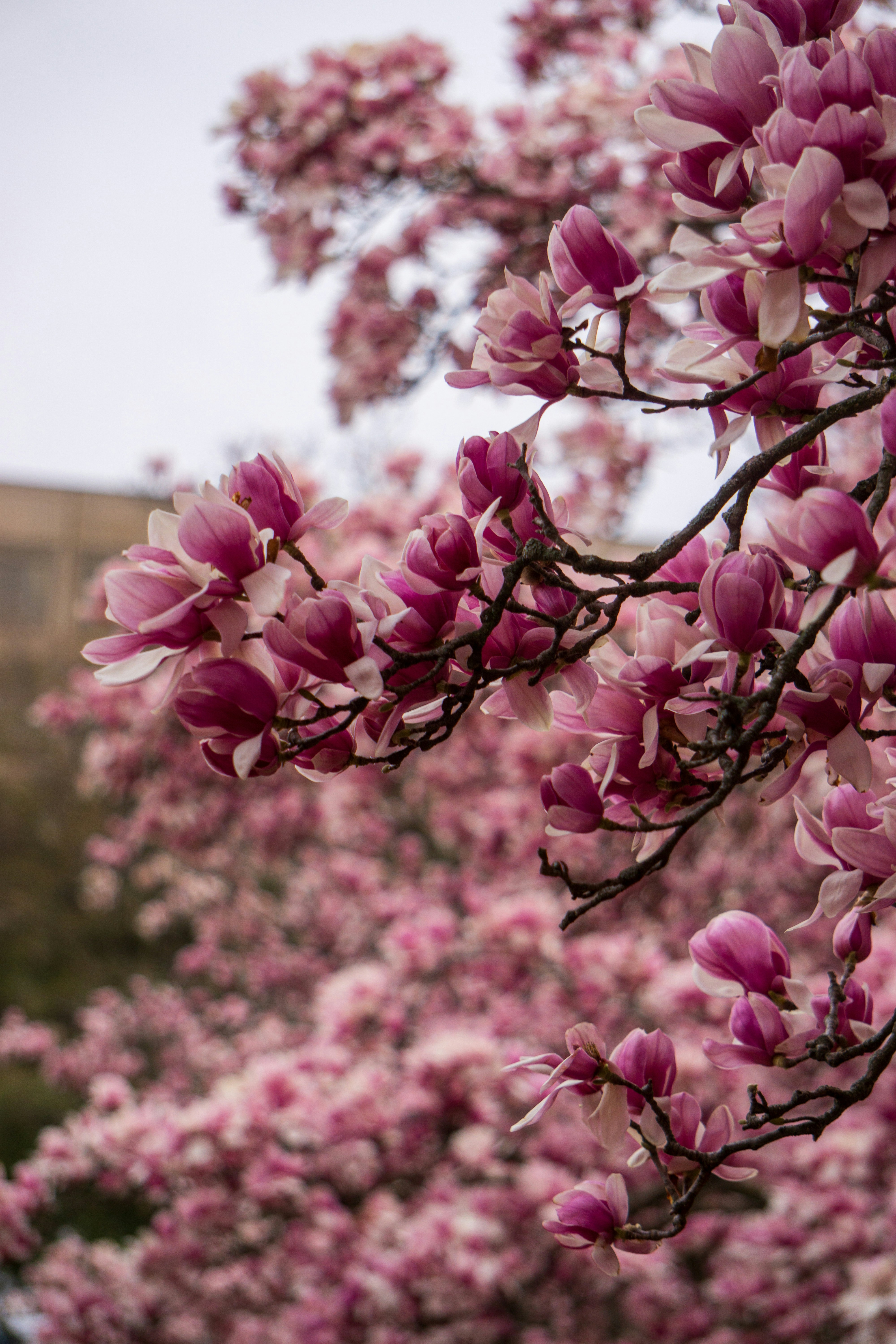 Photo by therandyeffect