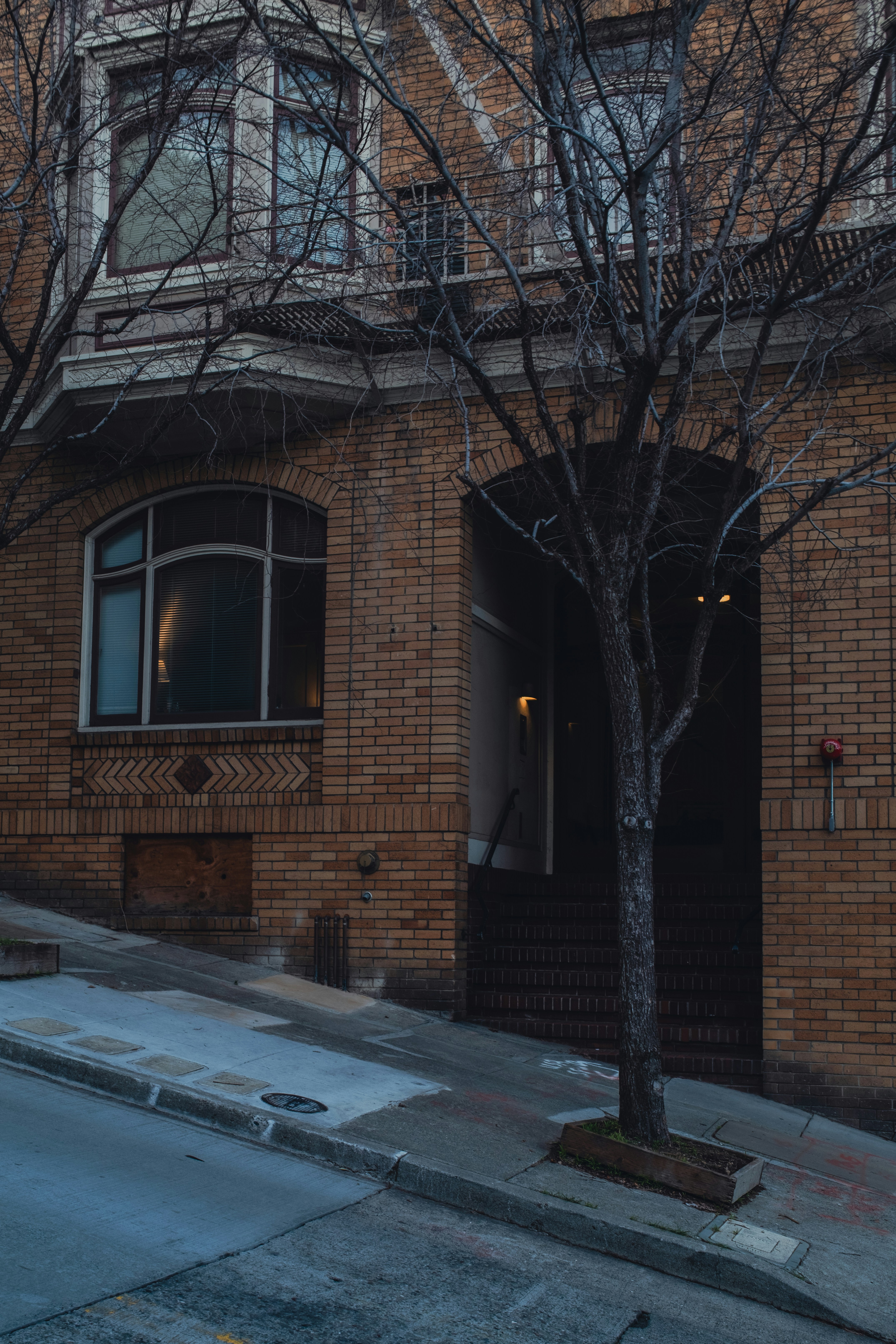 Photo by kalaniparker