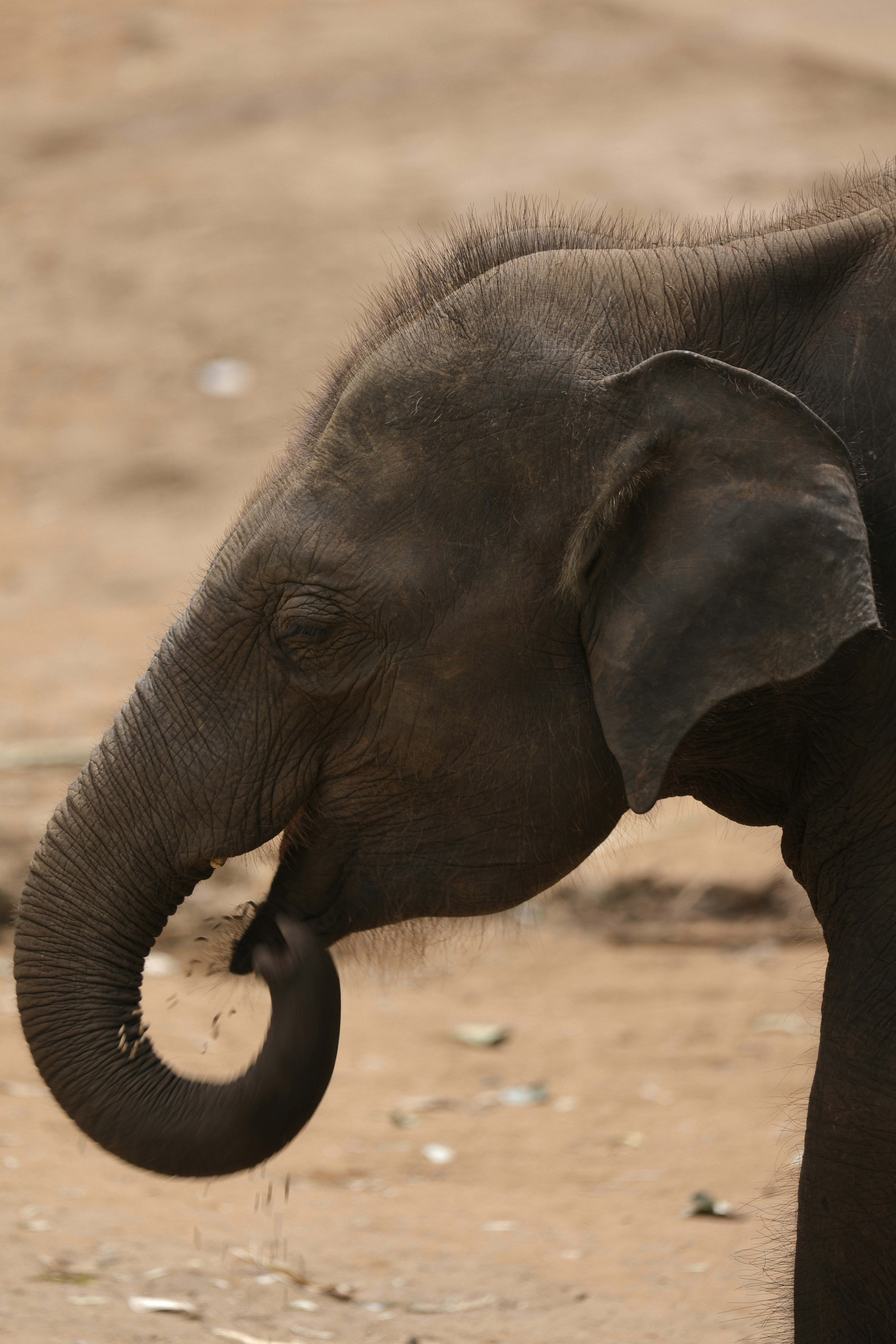 Photo by manunthakur