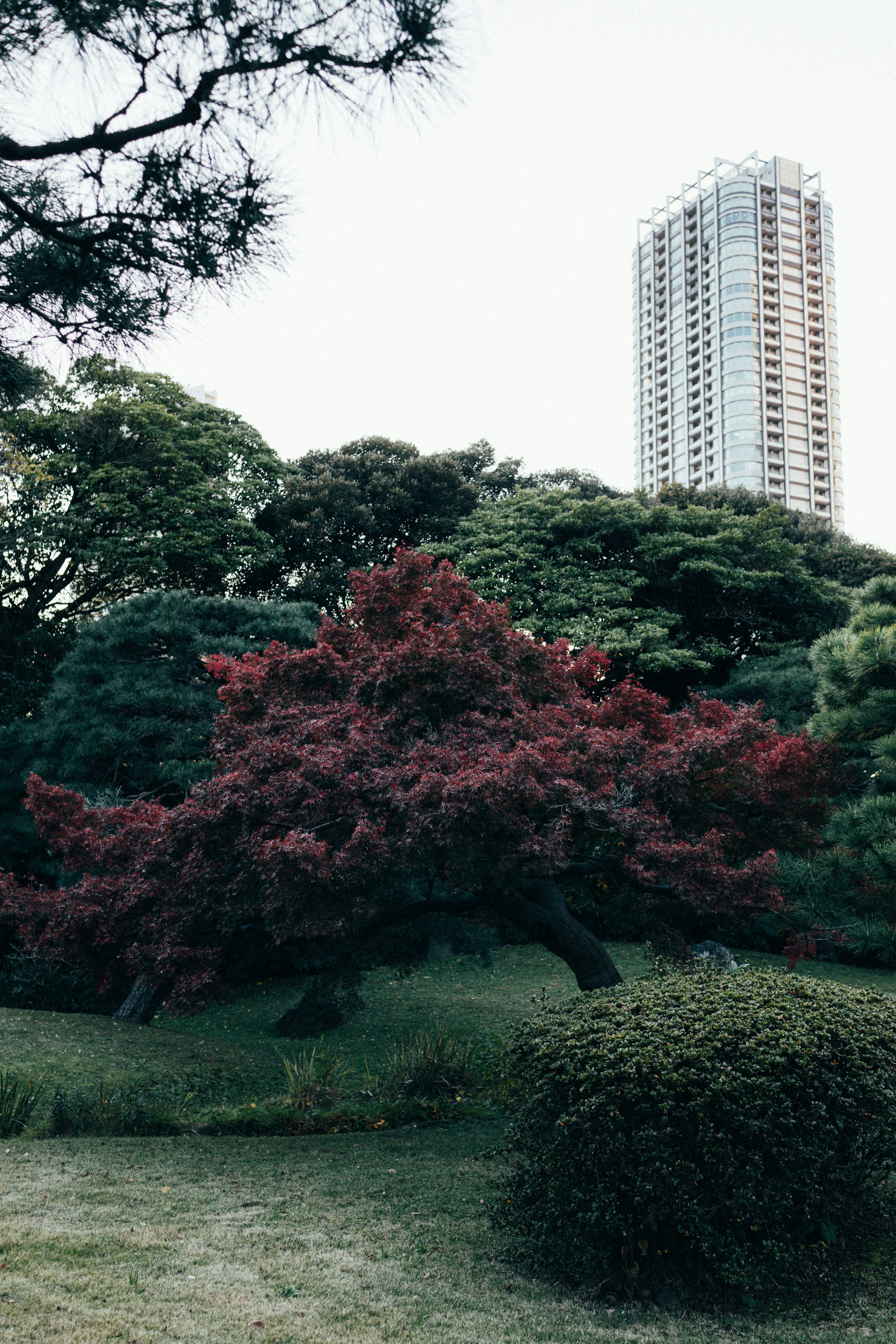 Photo by tsuyoshikozu