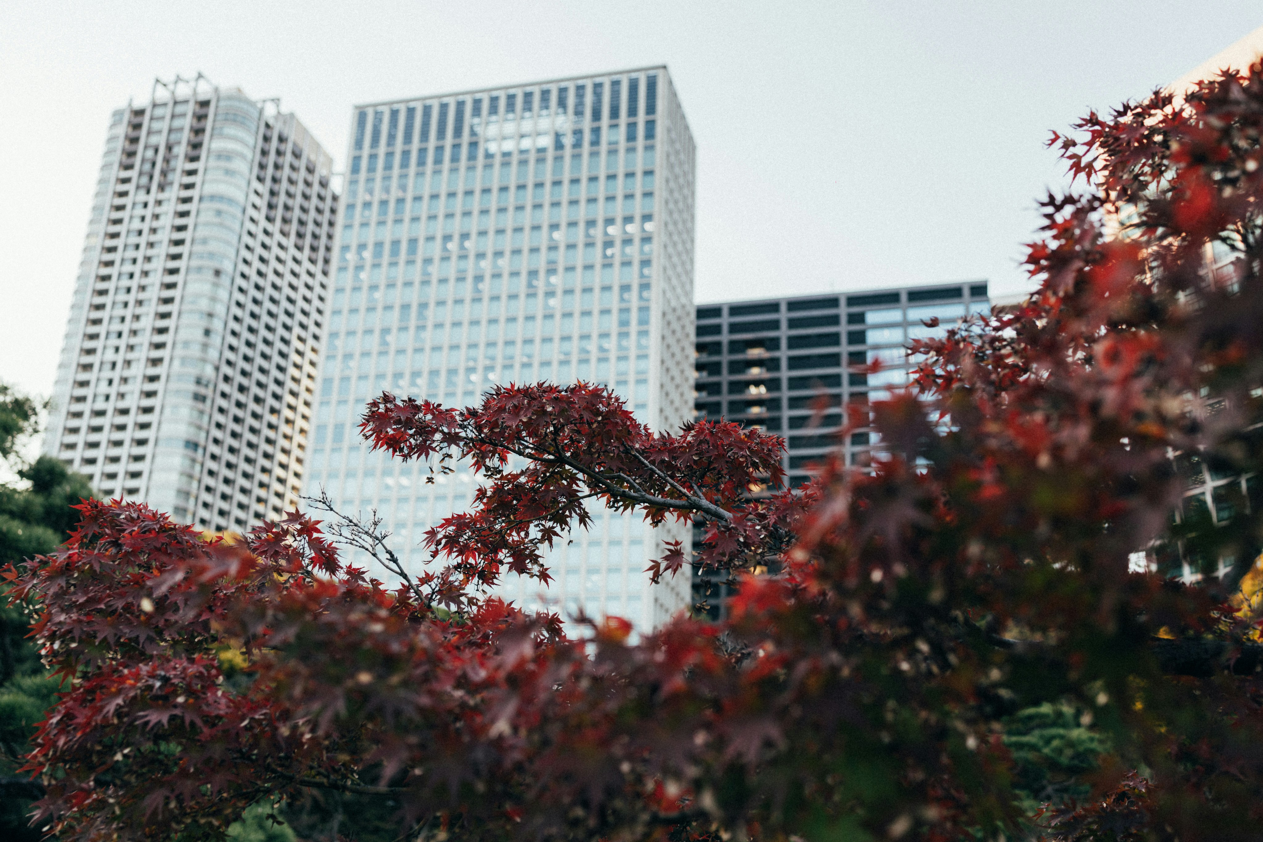 Photo by tsuyoshikozu