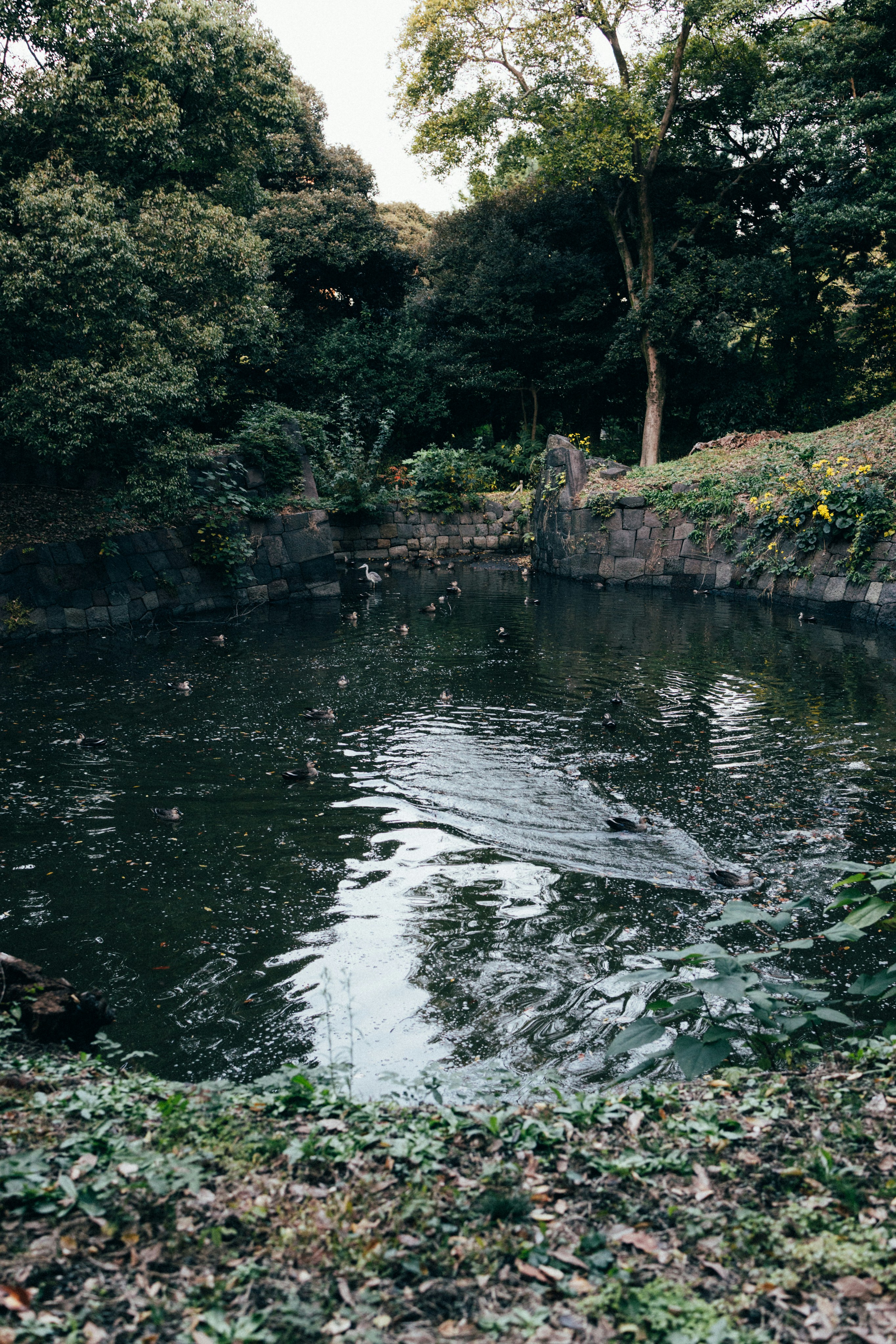 Photo by tsuyoshikozu