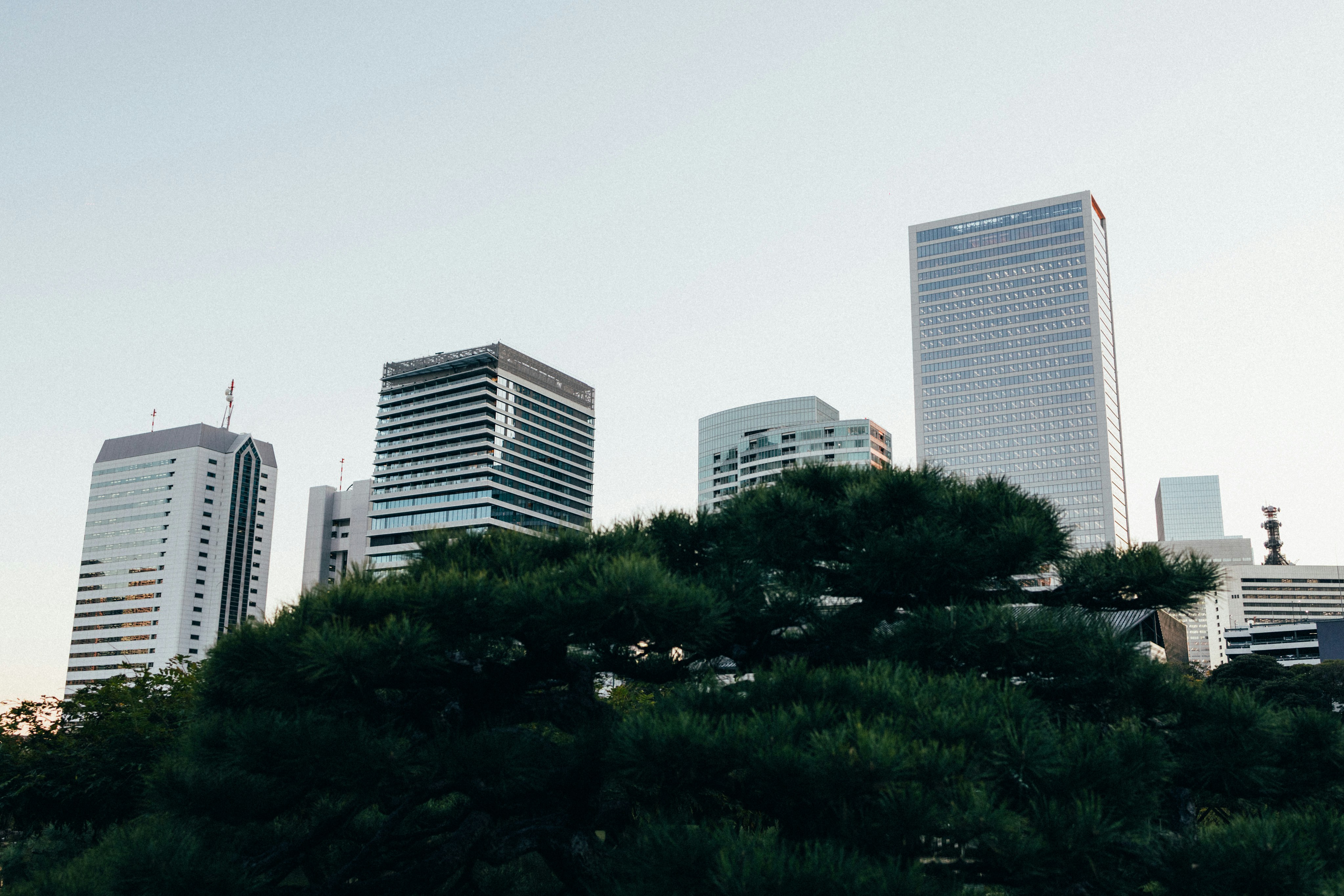 Photo by tsuyoshikozu