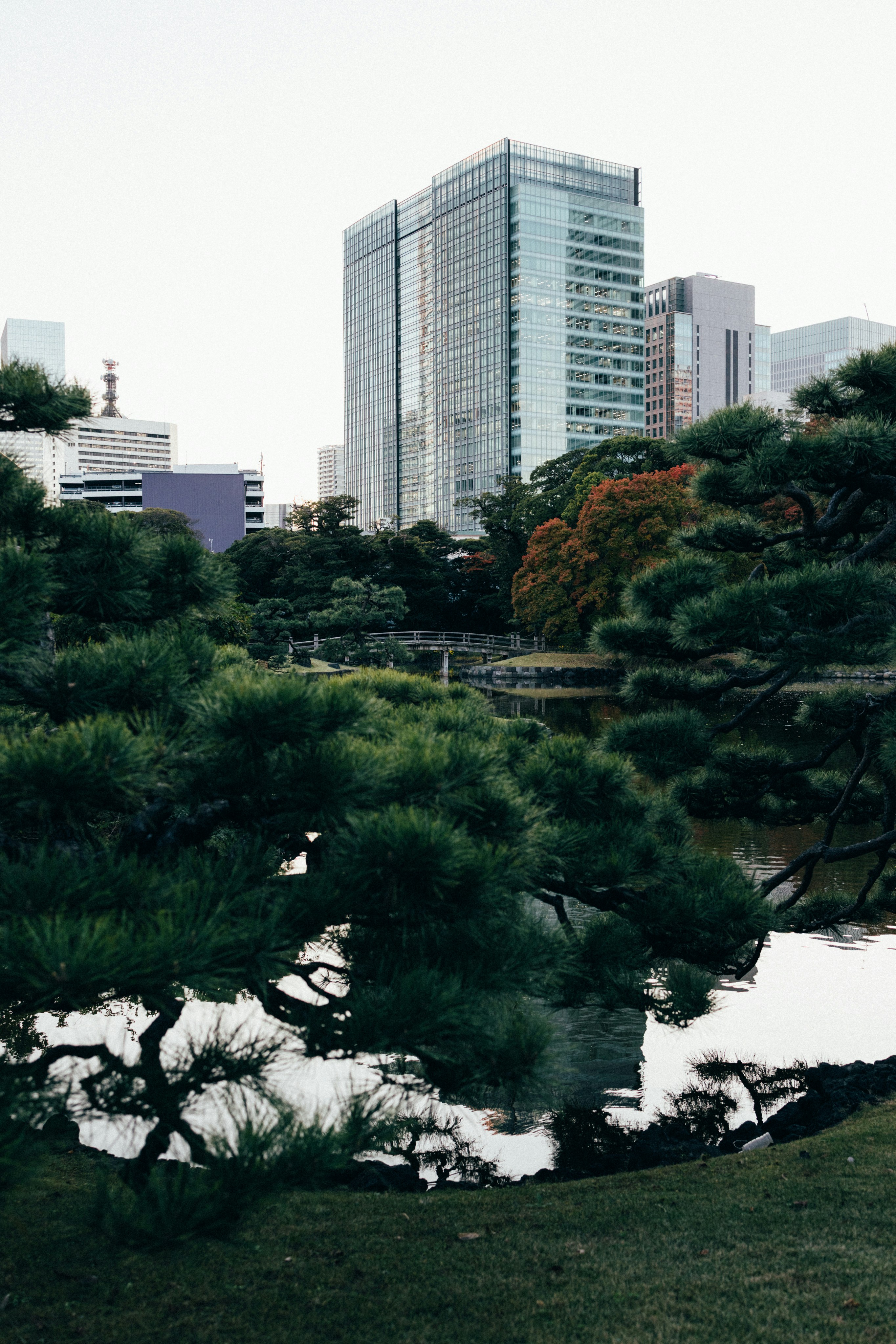 Photo by tsuyoshikozu