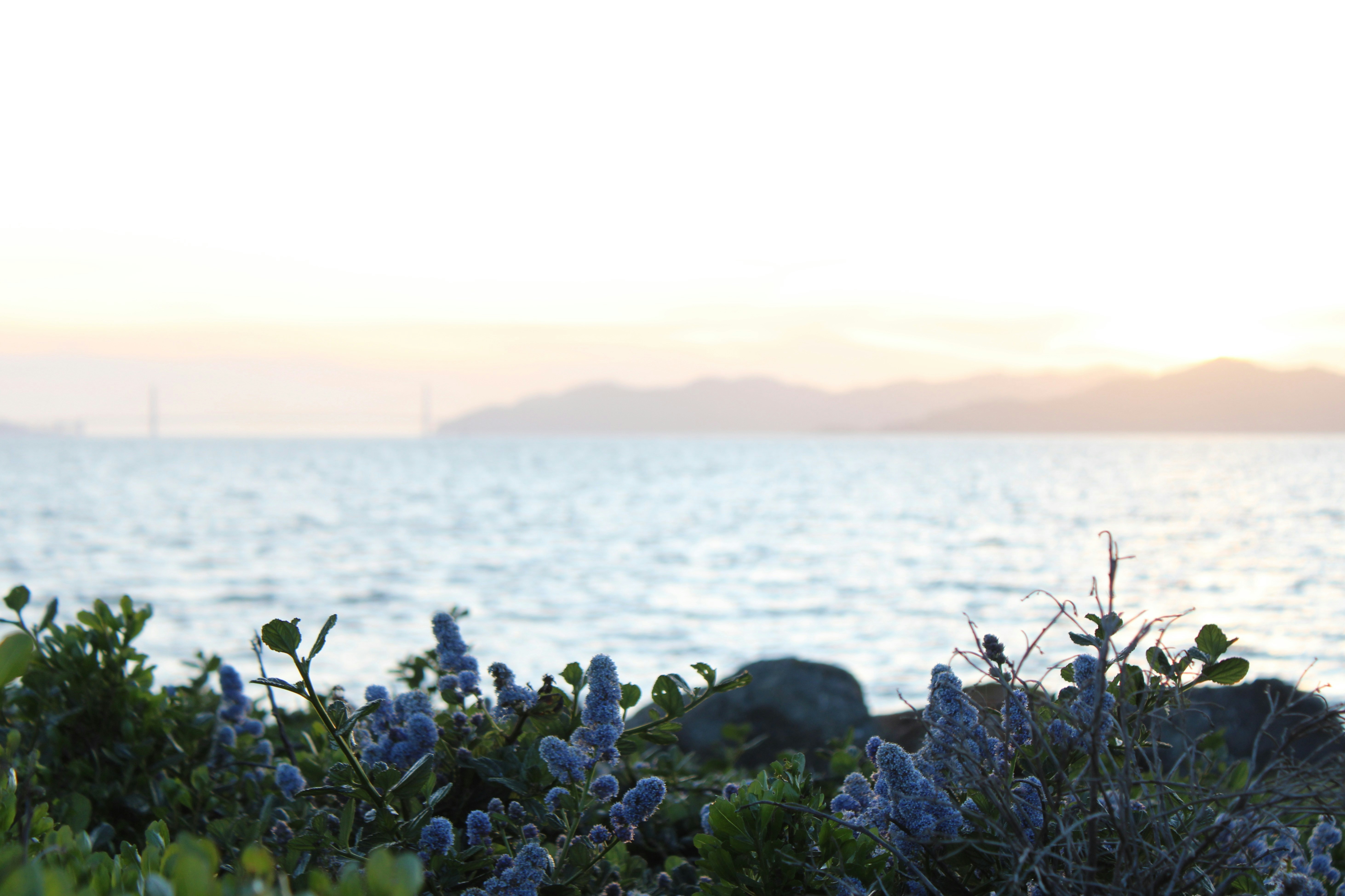 Photo by seymourtseng