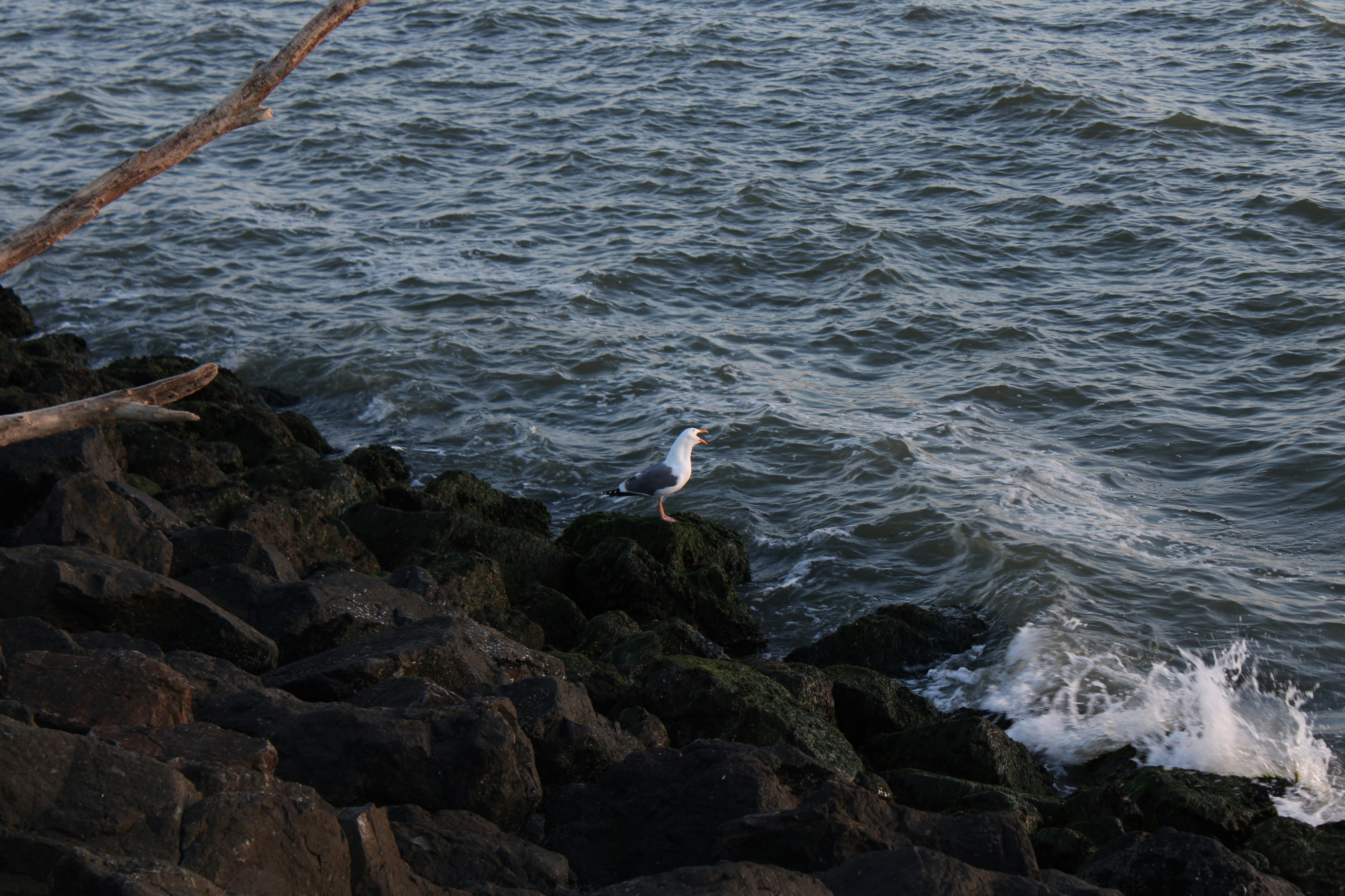 Photo by seymourtseng