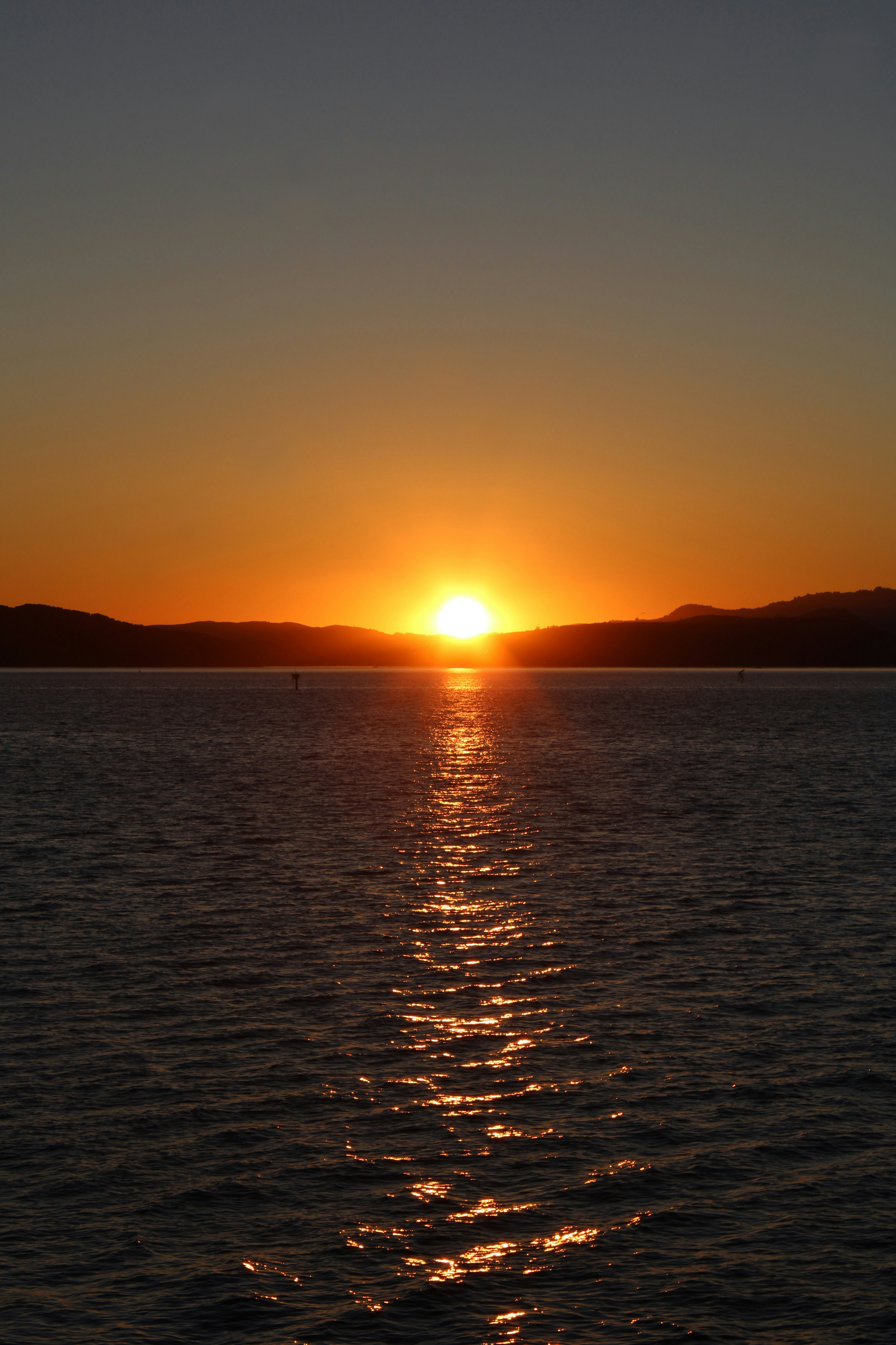 Photo by seymourtseng