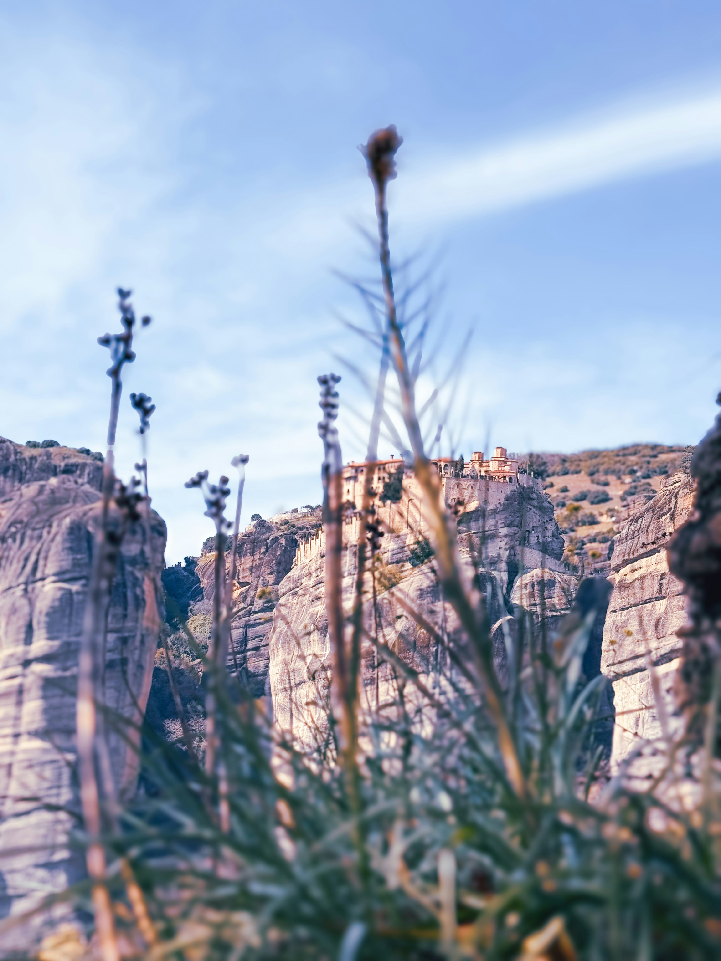 Photo by richard_glendenning