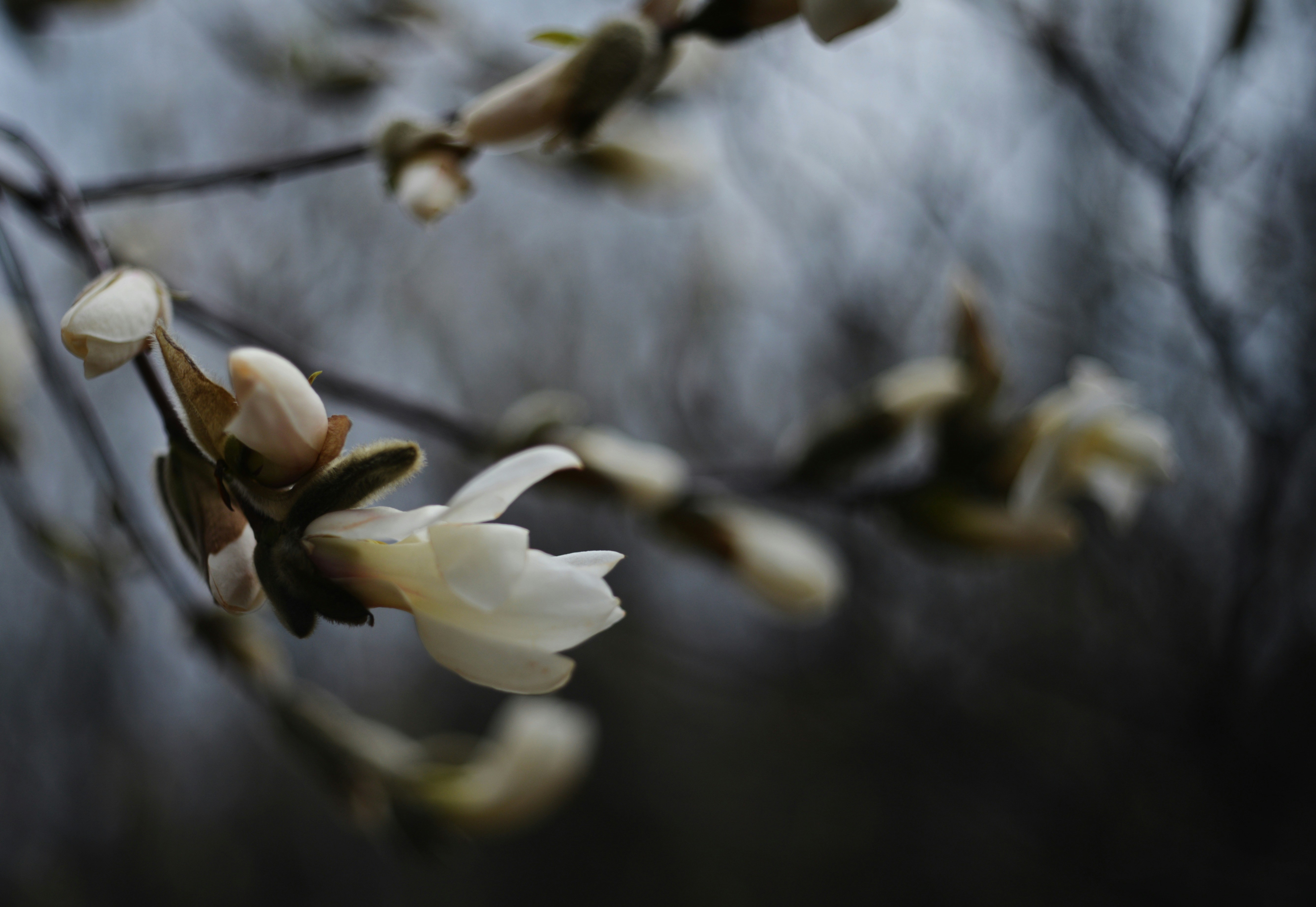 Photo by cherstve_pechivo