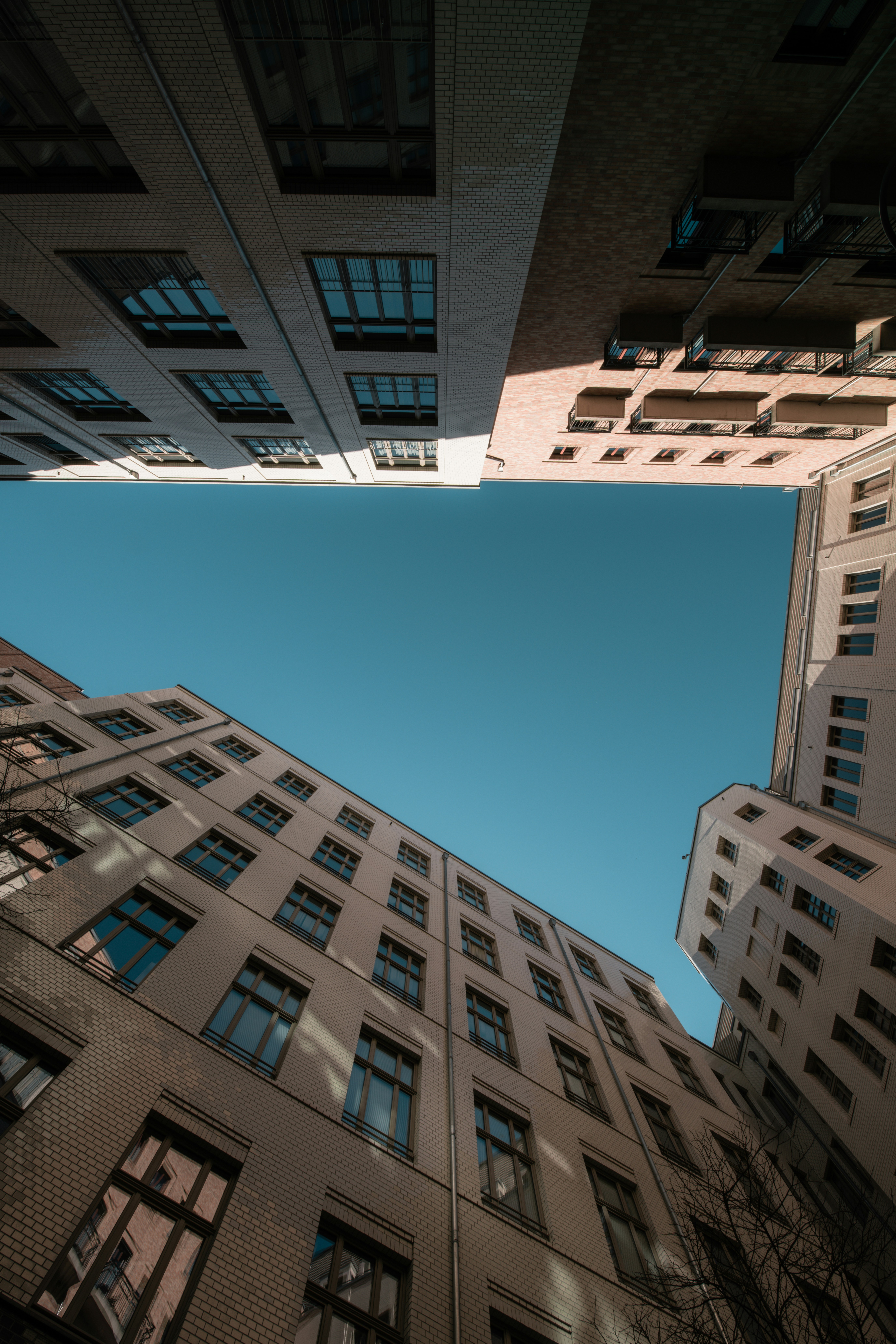 Photo by hamburgmeinefreundin